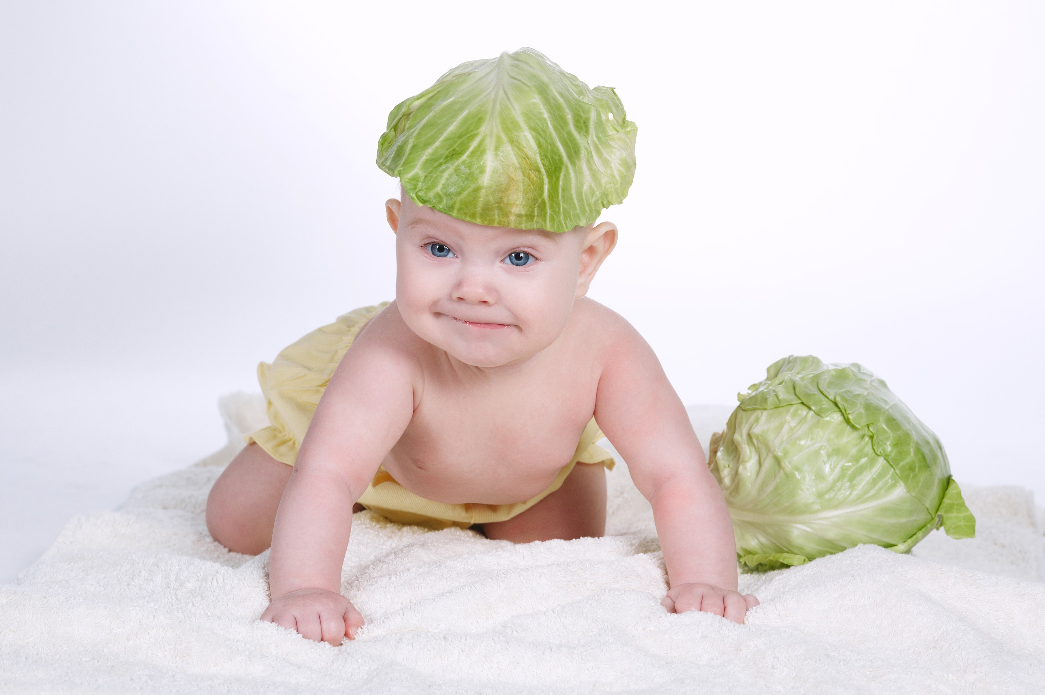 Baby wearing a cabbage leaf hat with a cabbage HD Wallpaper