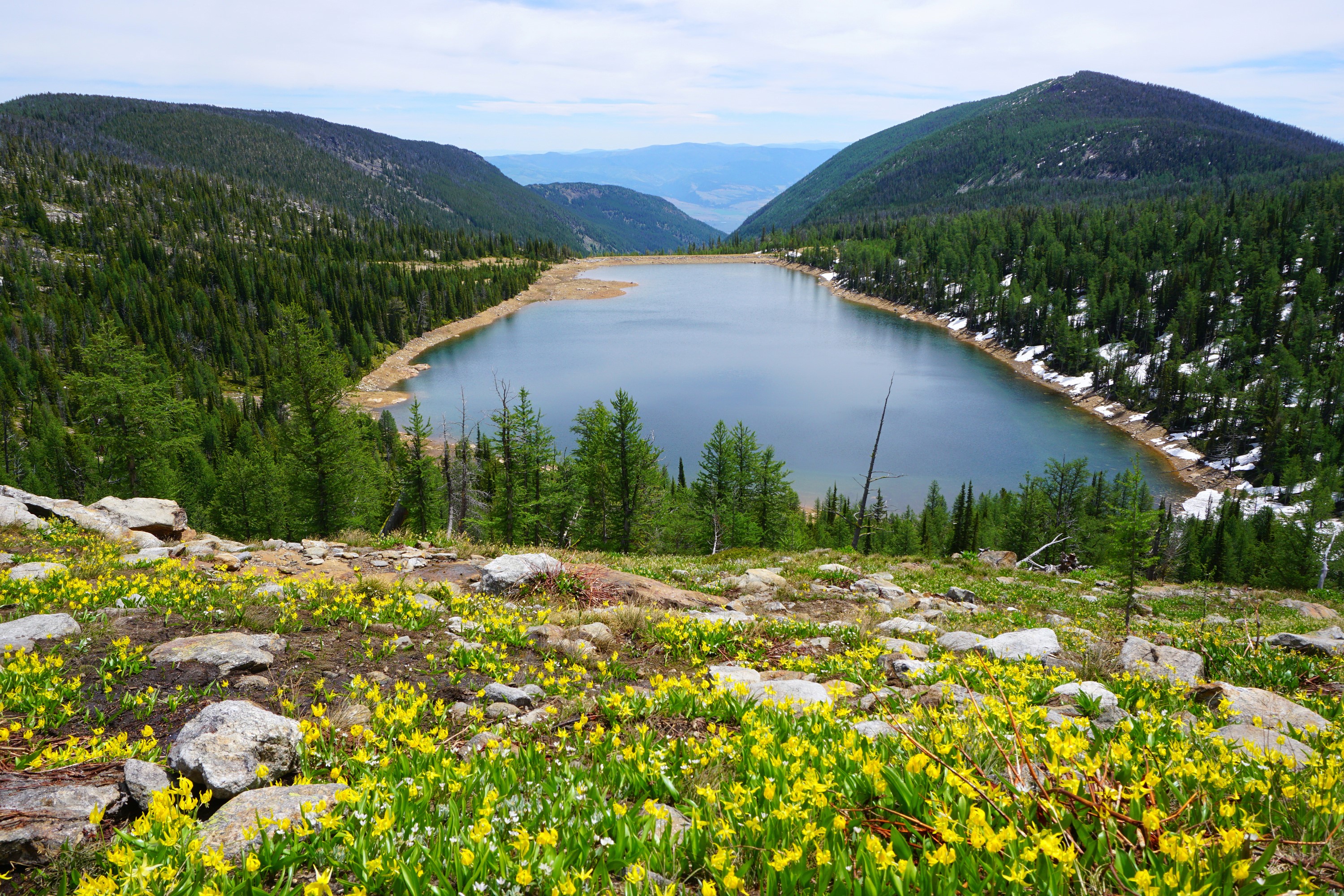 Carlton Lake surrounded by forests and hills HD Wallpaper