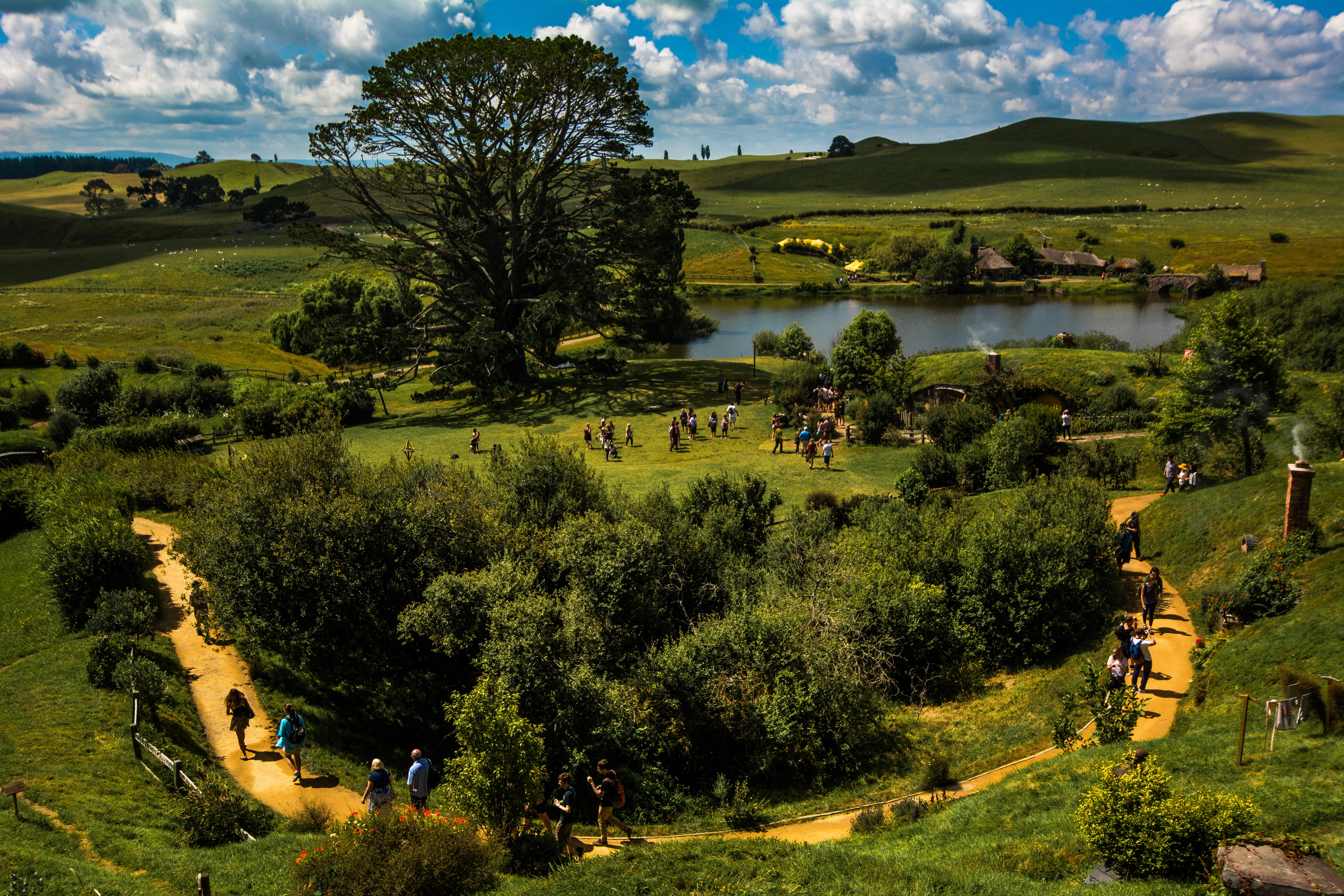 Matamata Hobbiton New Zealand with Pond and Trees HD Wallpaper