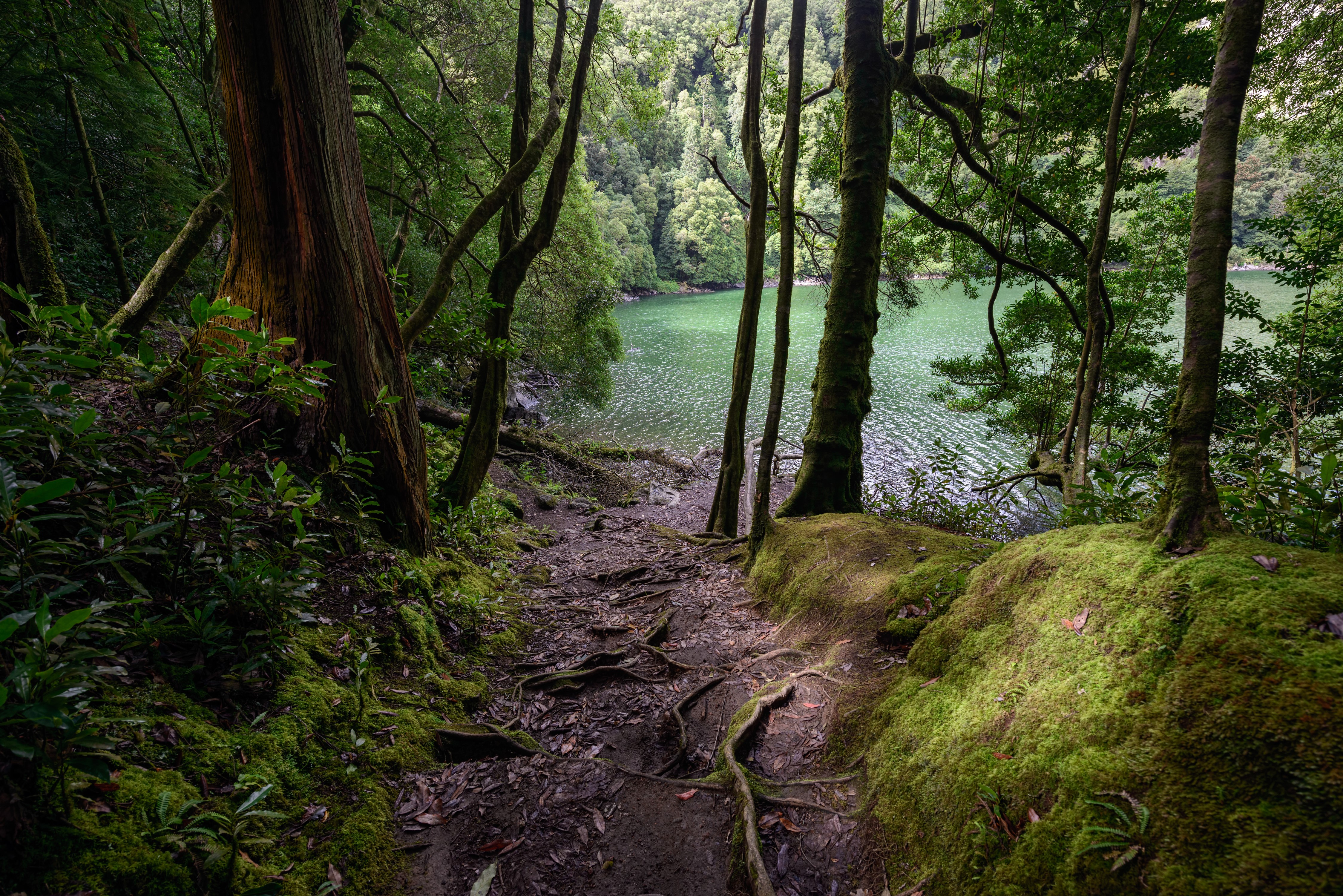 4K Azores Portugal Lake Forest Path HD Wallpaper