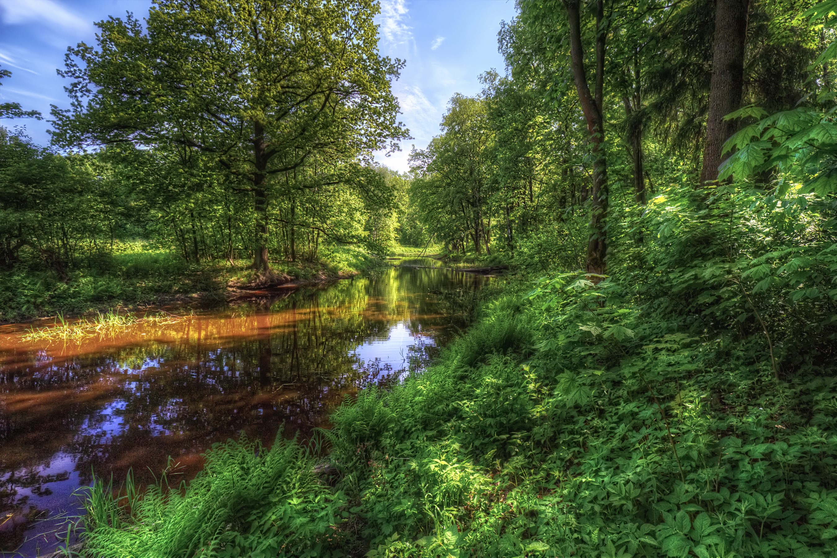 River flowing through Nevsky Forest Park in St. Petersburg, Russia HD Wallpaper