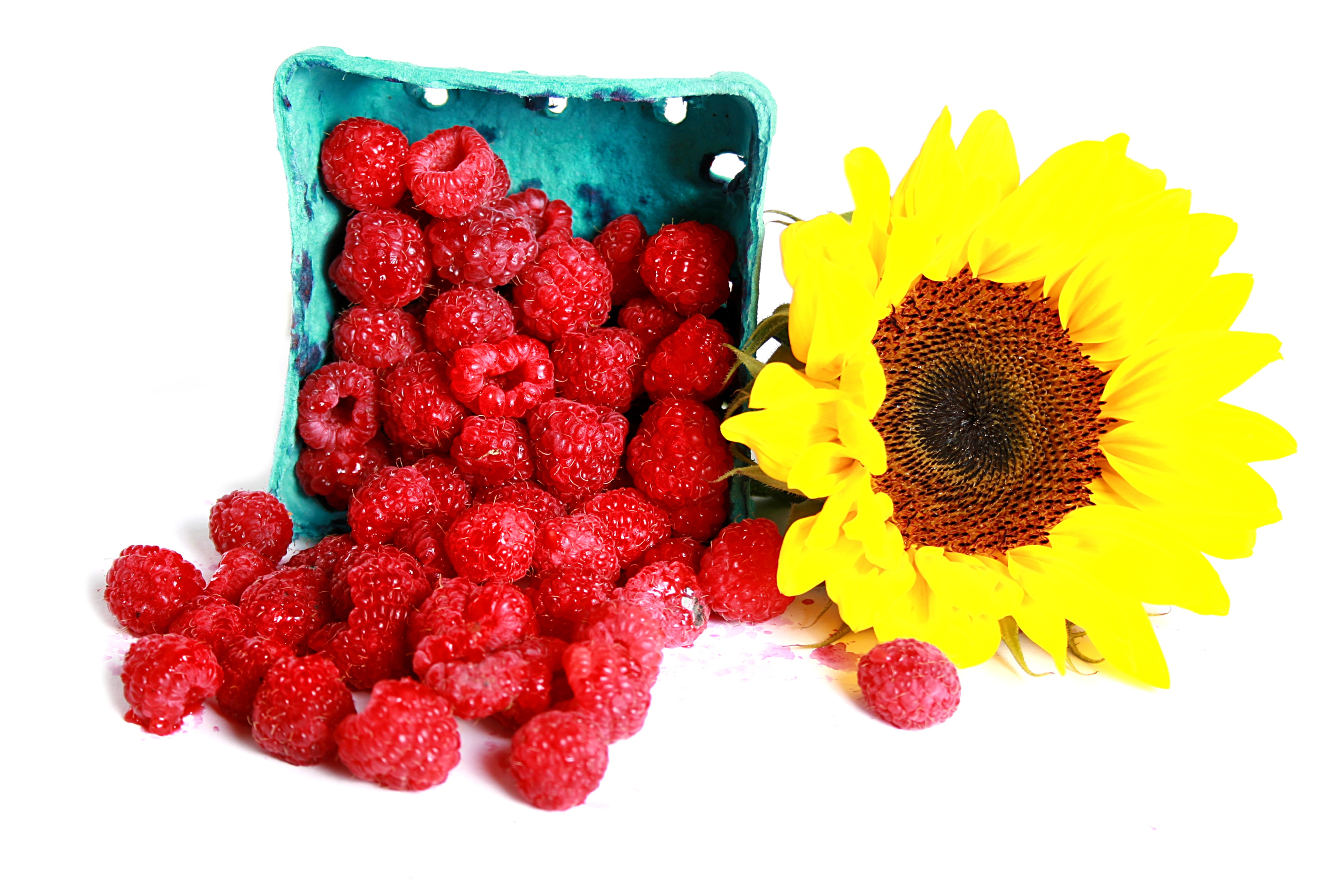 Raspberries spilling from a carton next to a sunflower HD Wallpaper