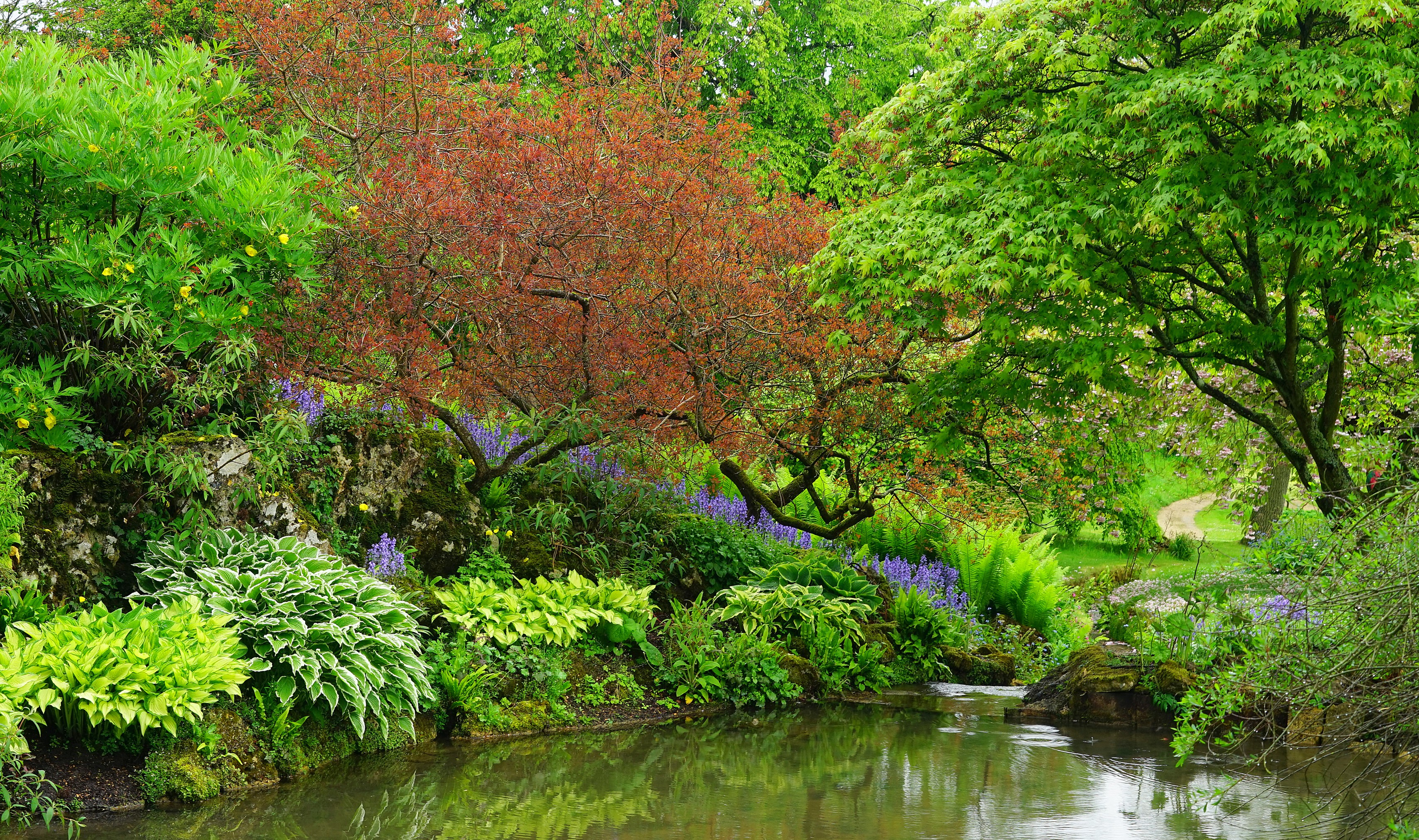 Sezincote Park England pond with trees and shrubs HD Wallpaper