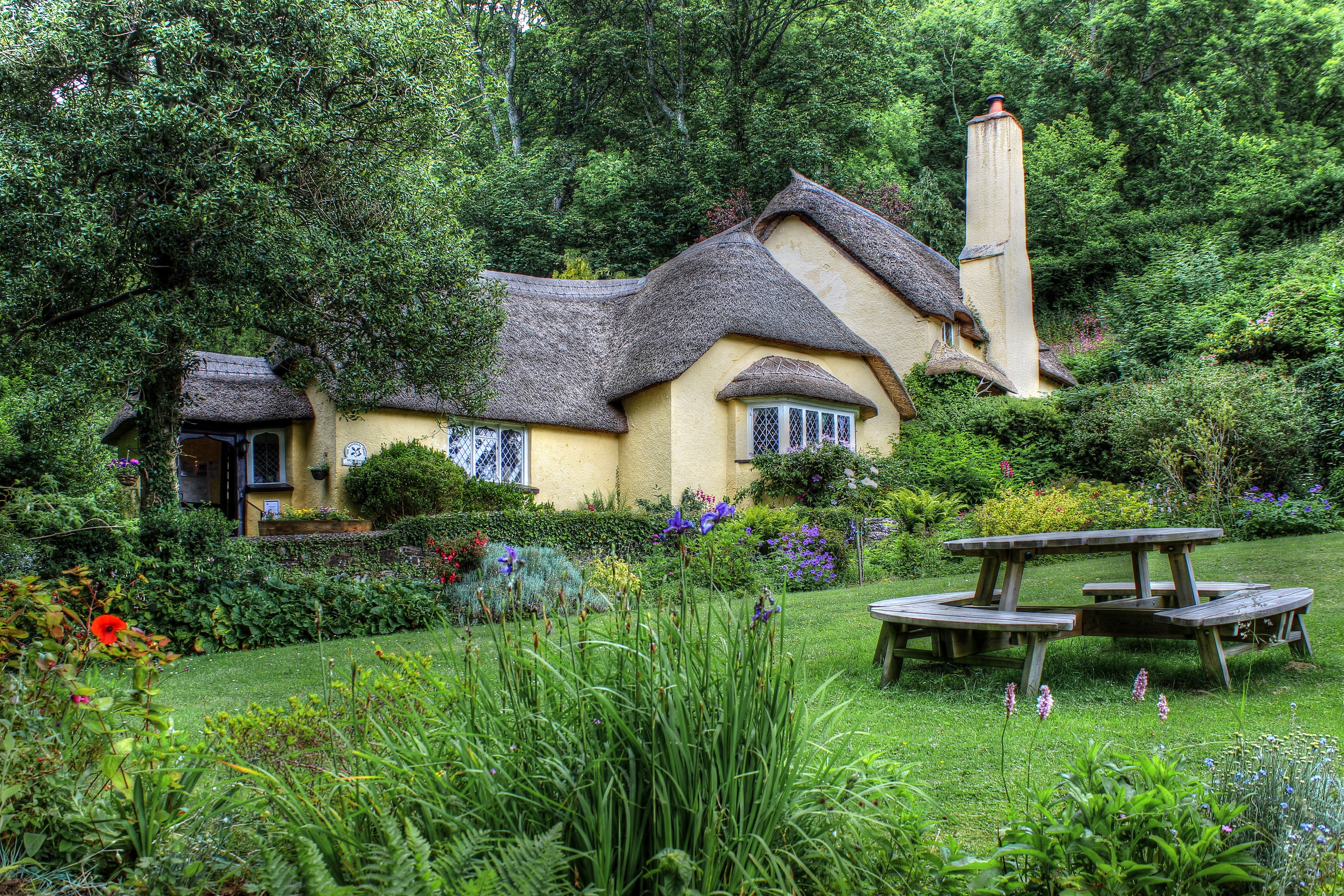 Thatched cottage with garden and picnic table in England HD Wallpaper