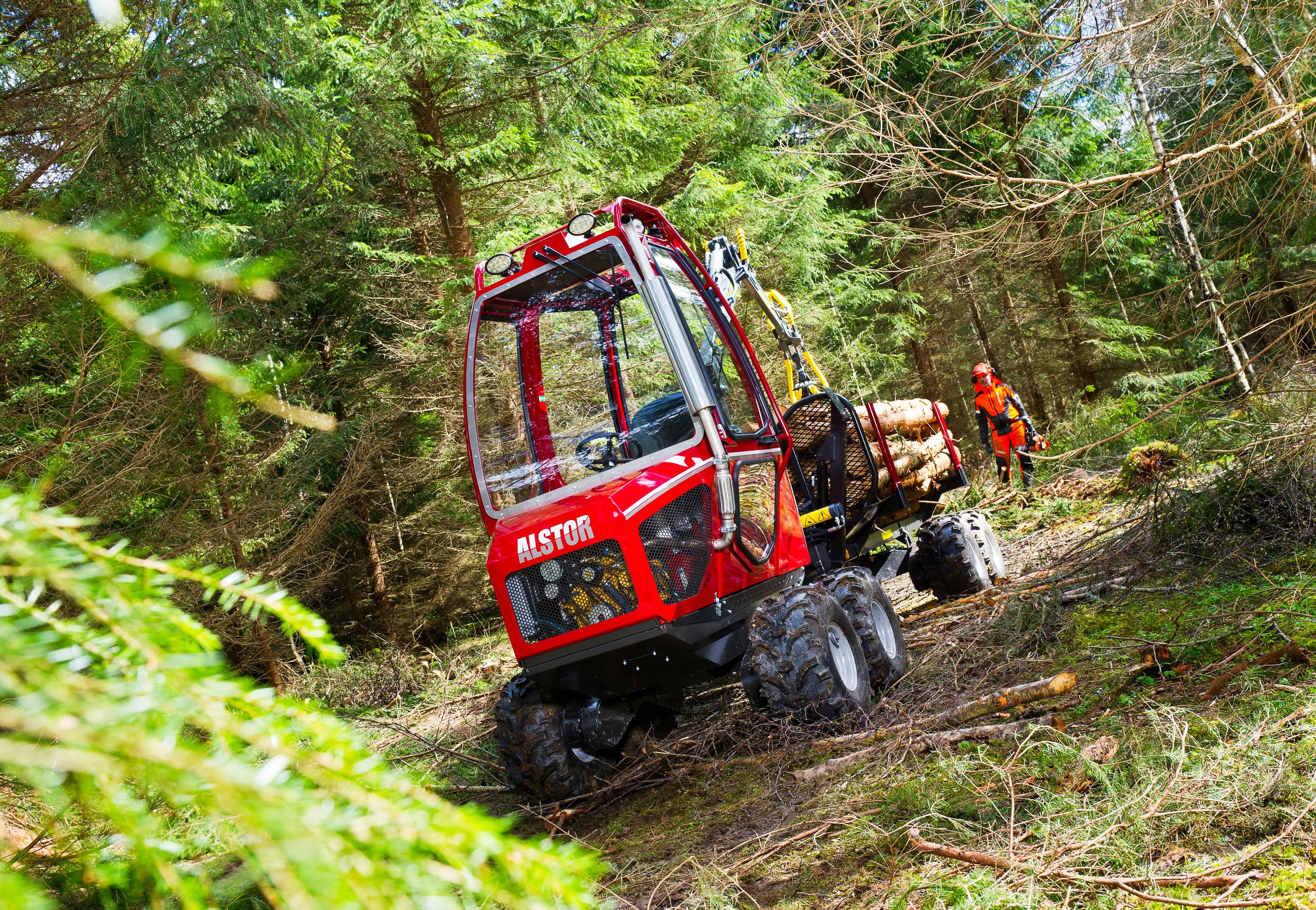 Alstor 833 Forwarder in a Forest HD Wallpaper