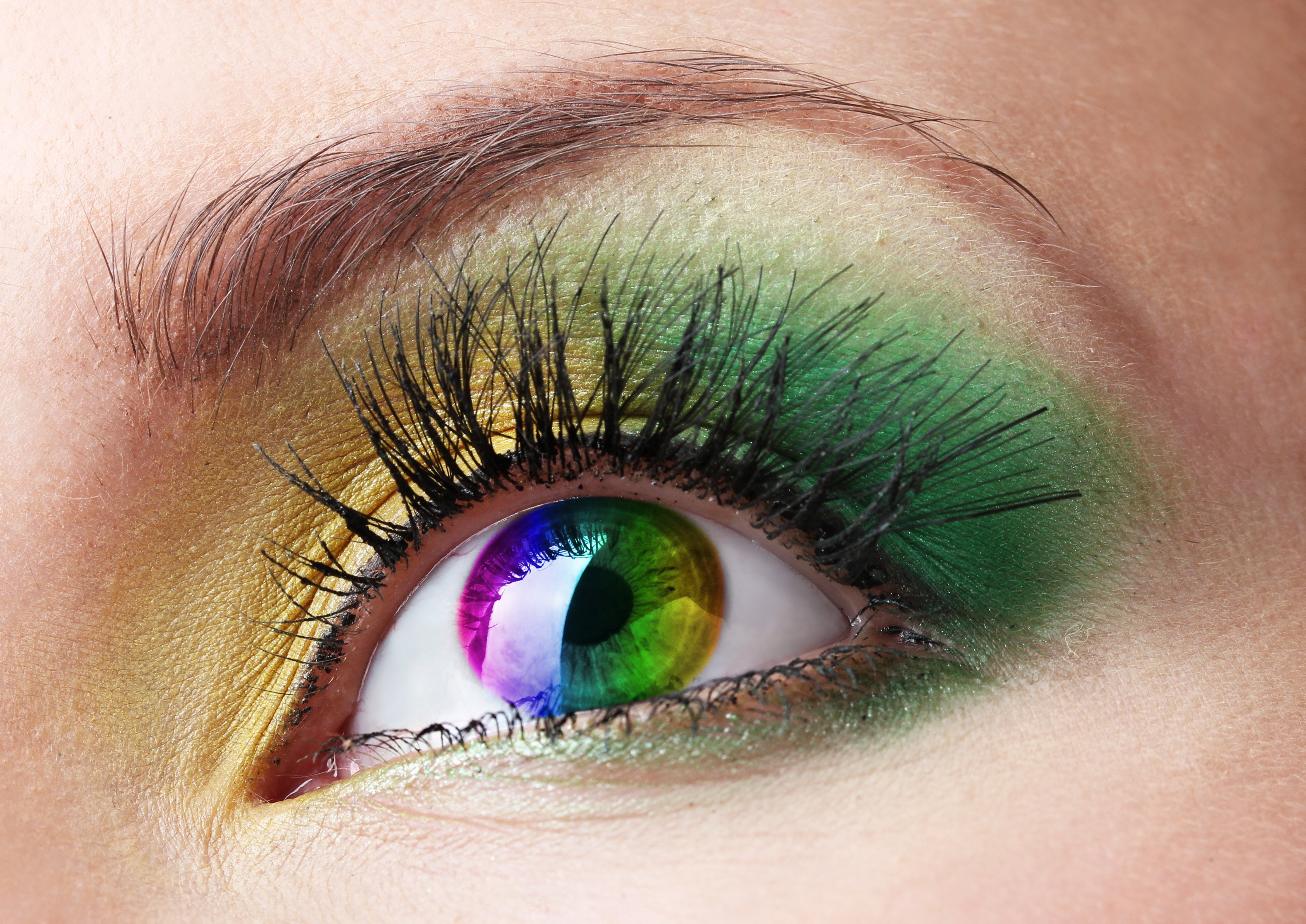 Closeup of a human eye with multicolor iris and colorful eyeshadow HD Wallpaper