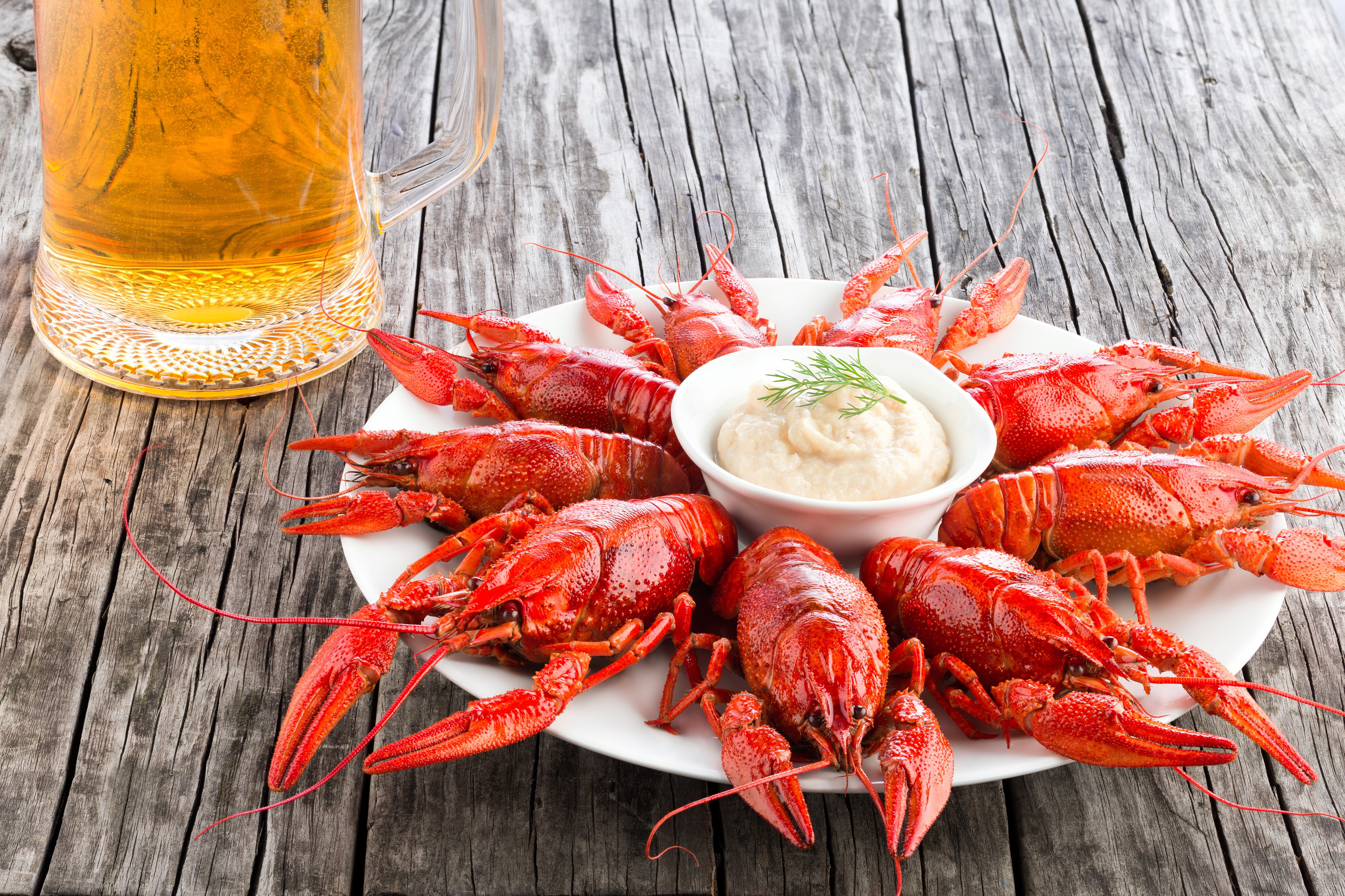 Plate of Crayfish with Beer and Dip HD Wallpaper