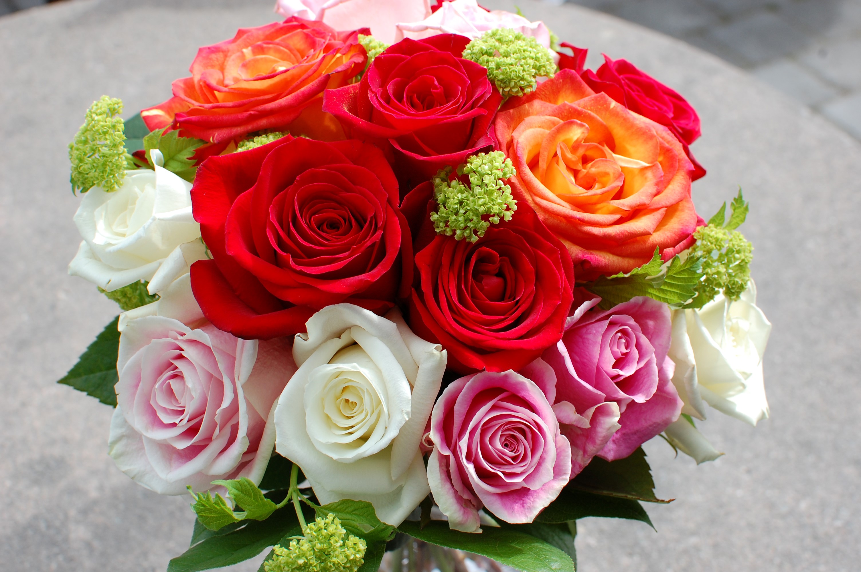 Bouquet of Roses HD Wallpaper