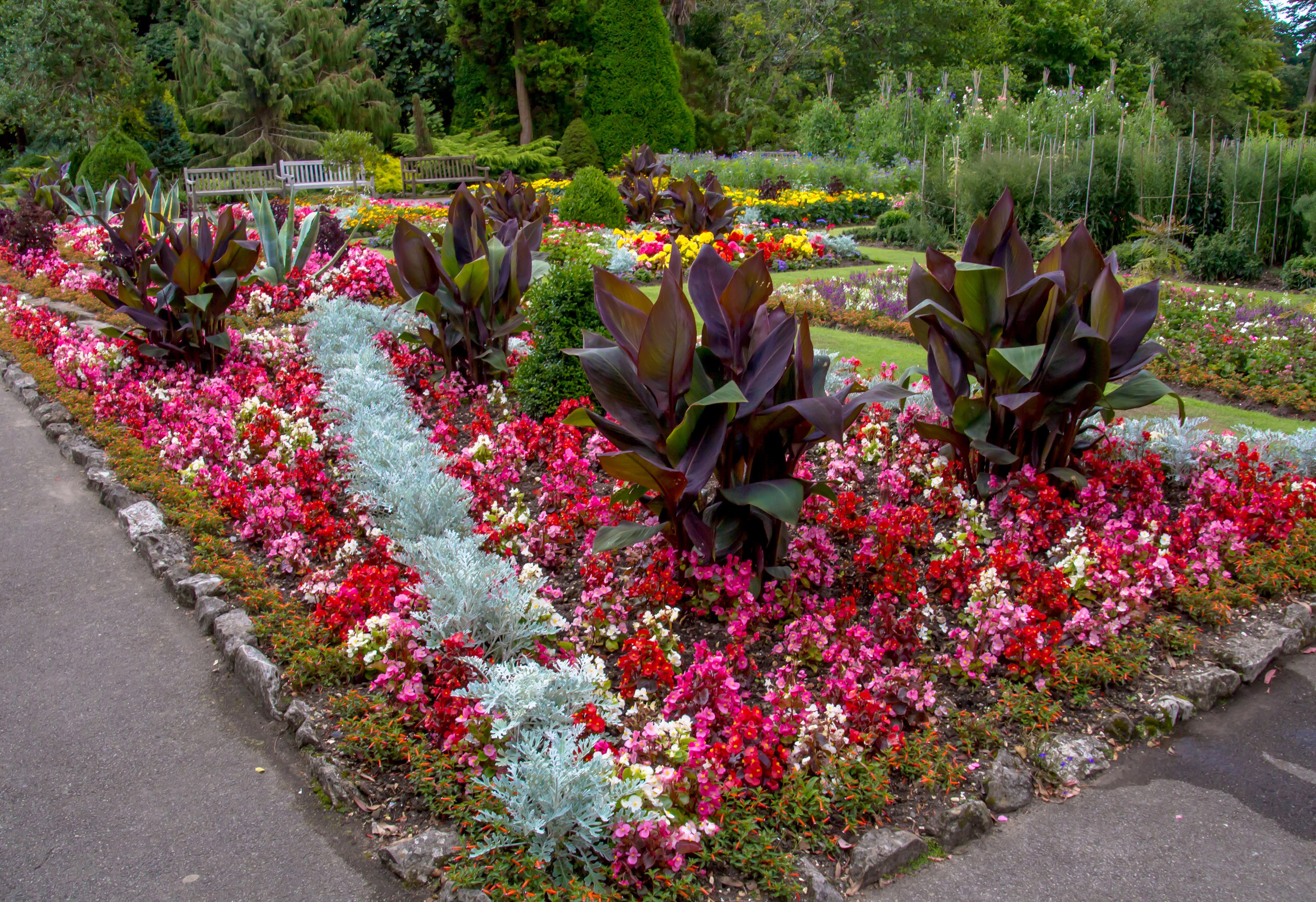 Swansea Botanic Gardens, Wales HD Wallpaper