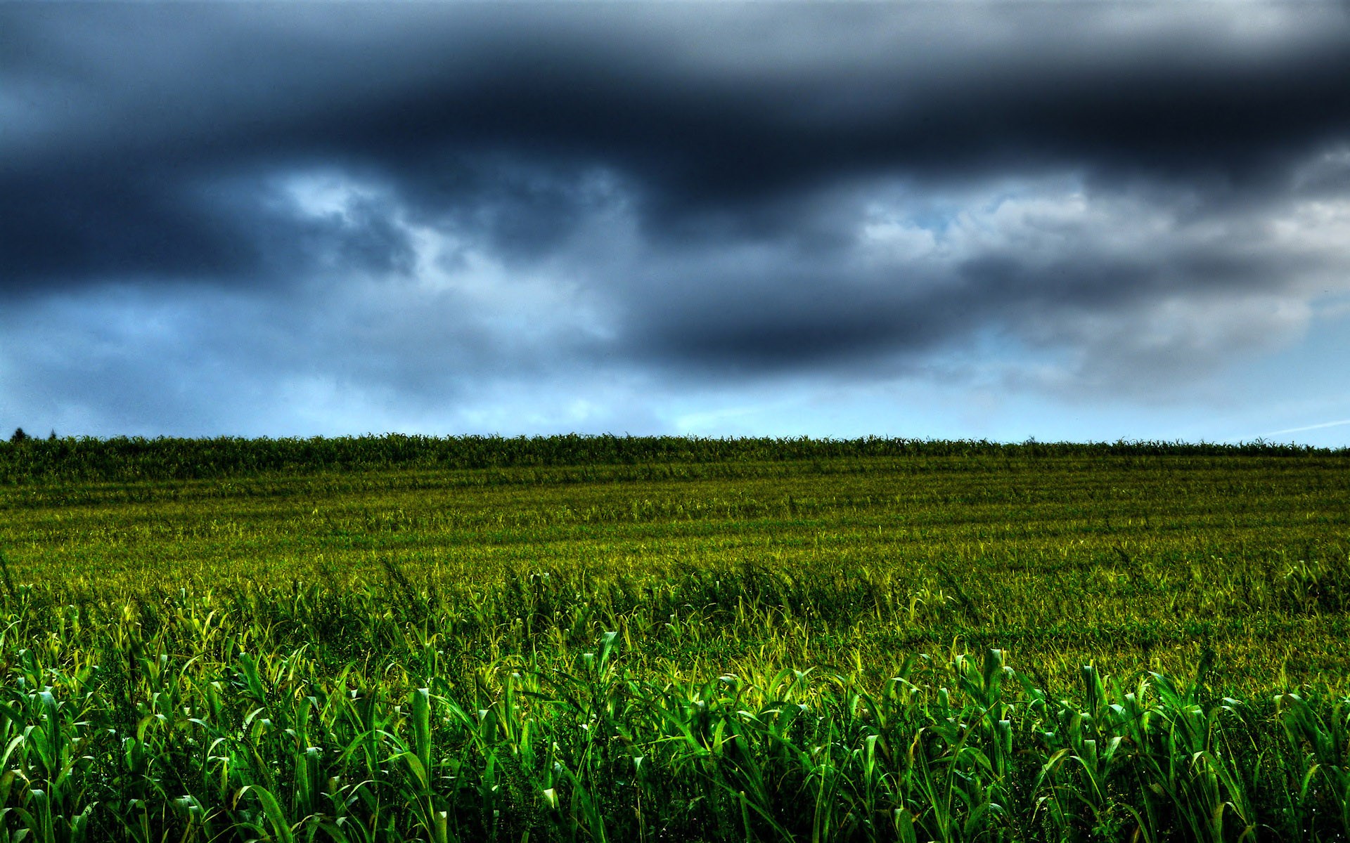 Stormy sky over a green field HD Wallpaper