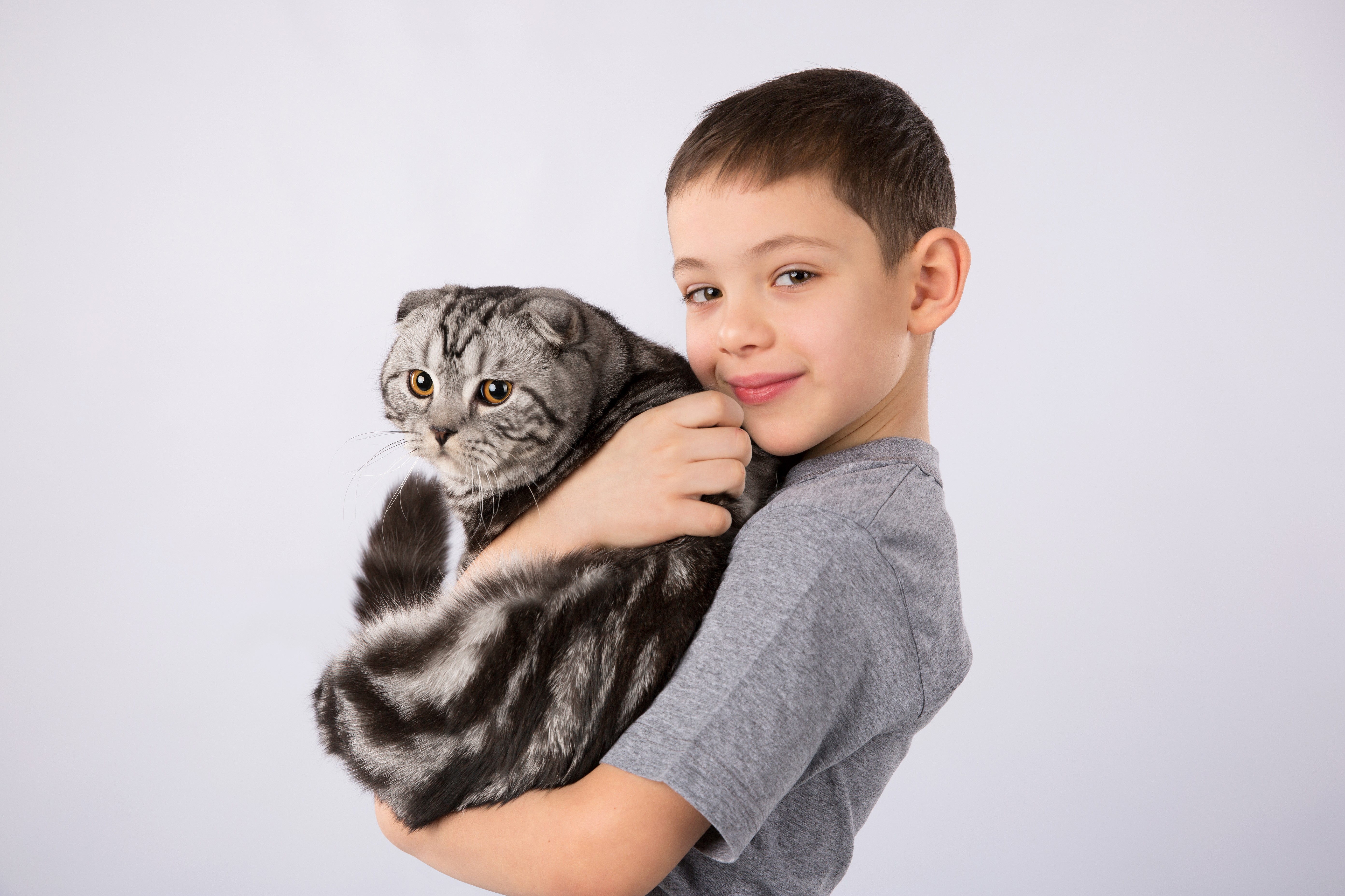Boy holding a Scottish Fold cat HD Wallpaper