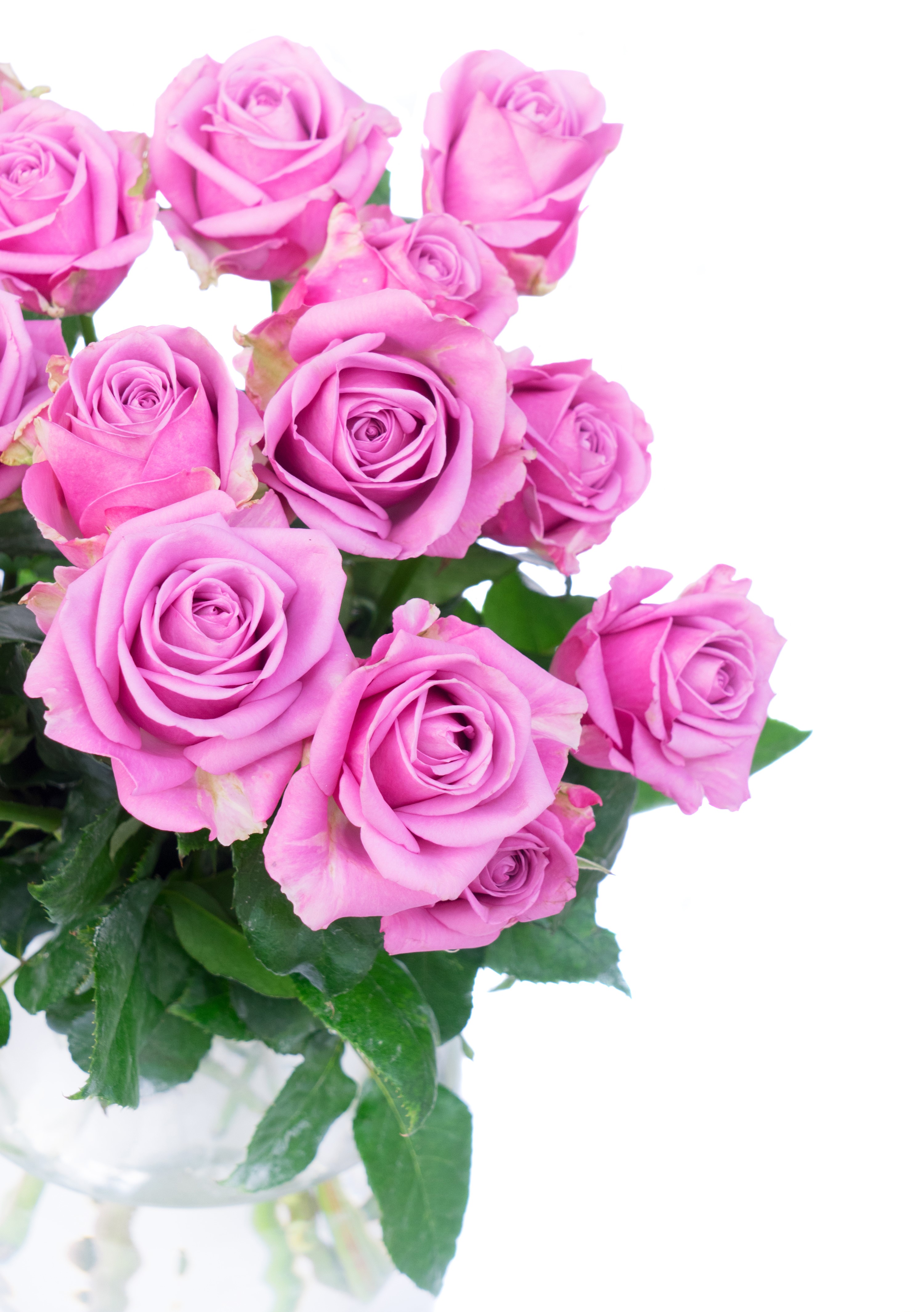 Bouquet of Pink Roses HD Phone Wallpaper