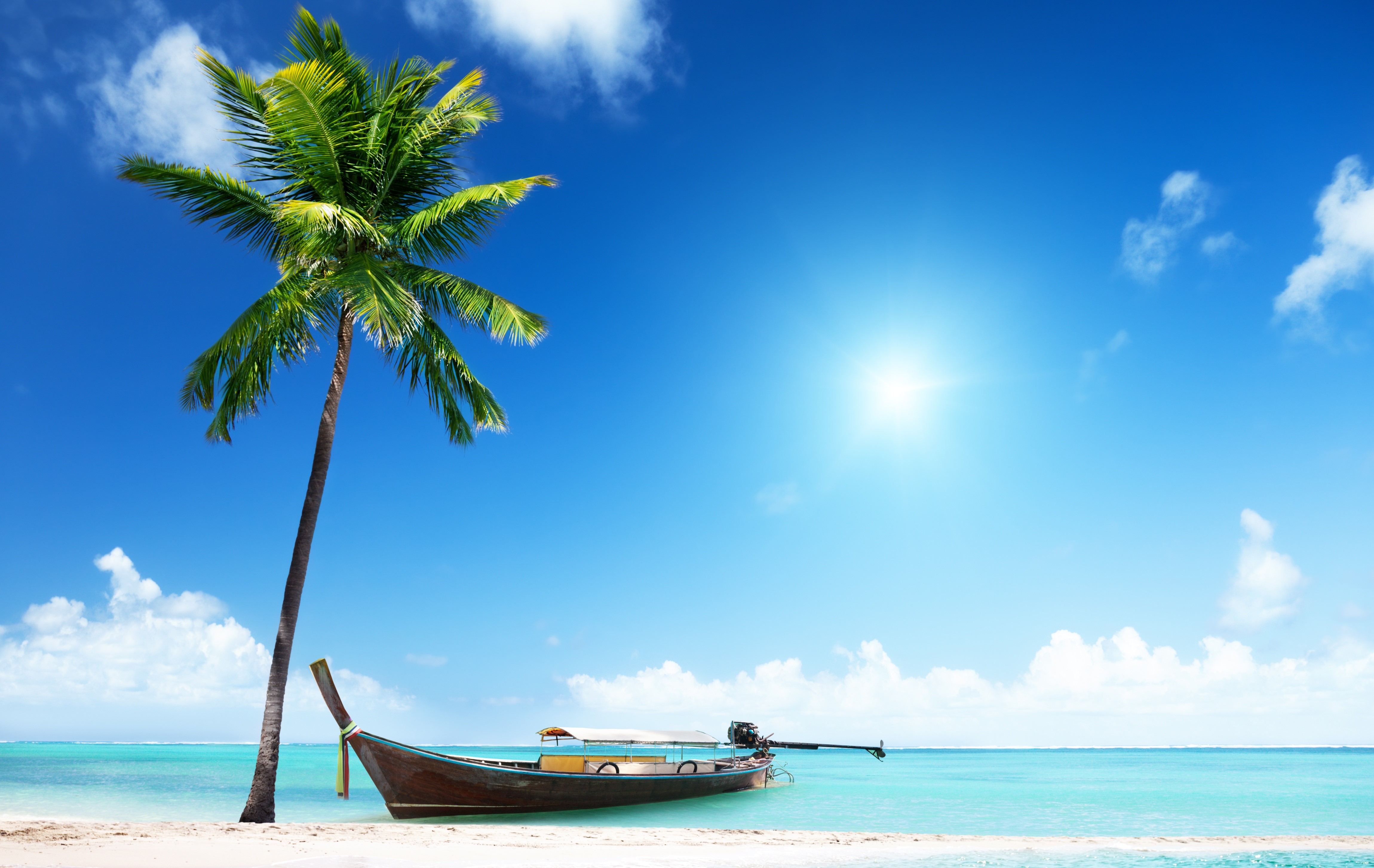 4K Tropical Beach with Palm Tree and Boat HD Wallpaper