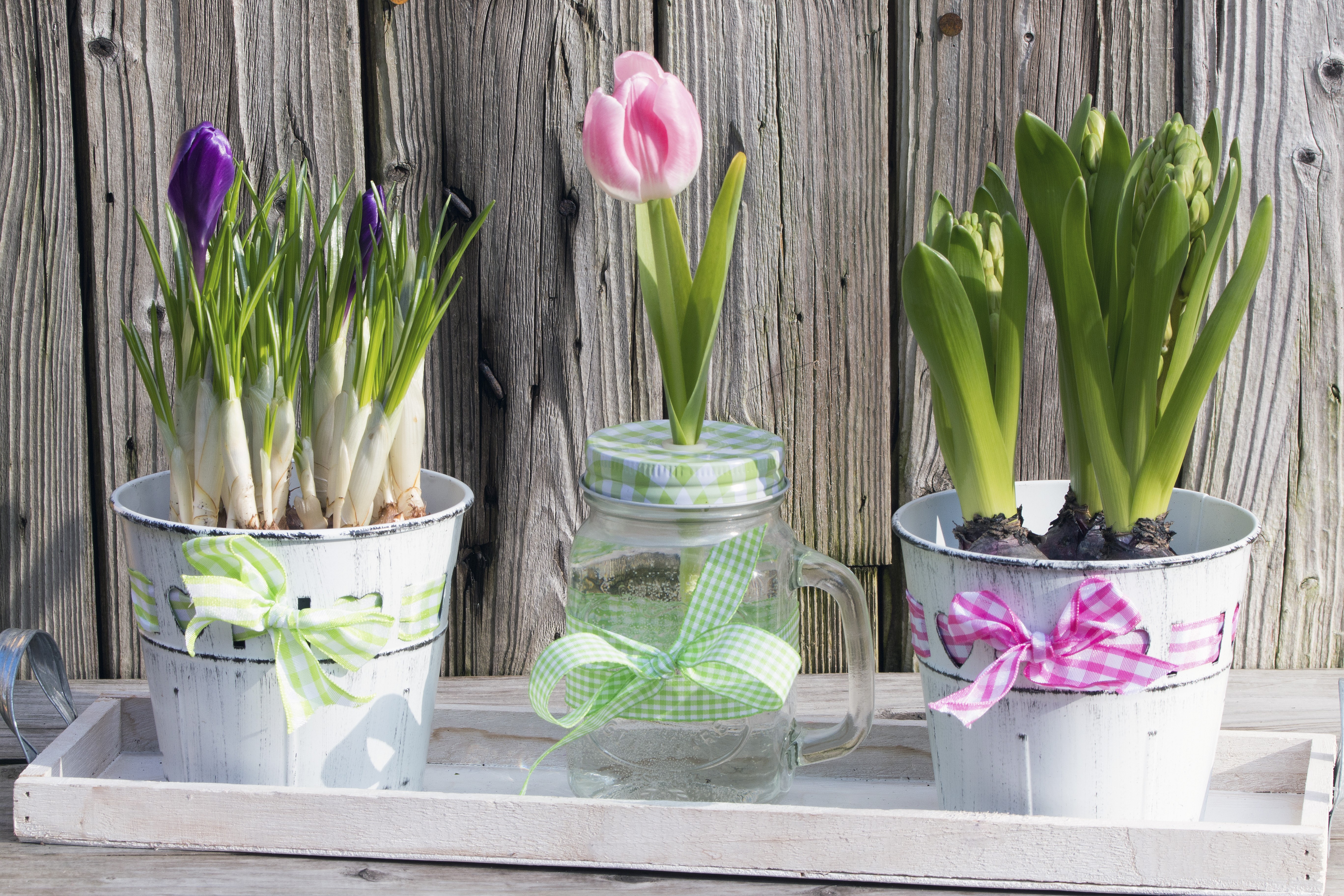 Spring Flowers in Decorative Pots HD Wallpaper