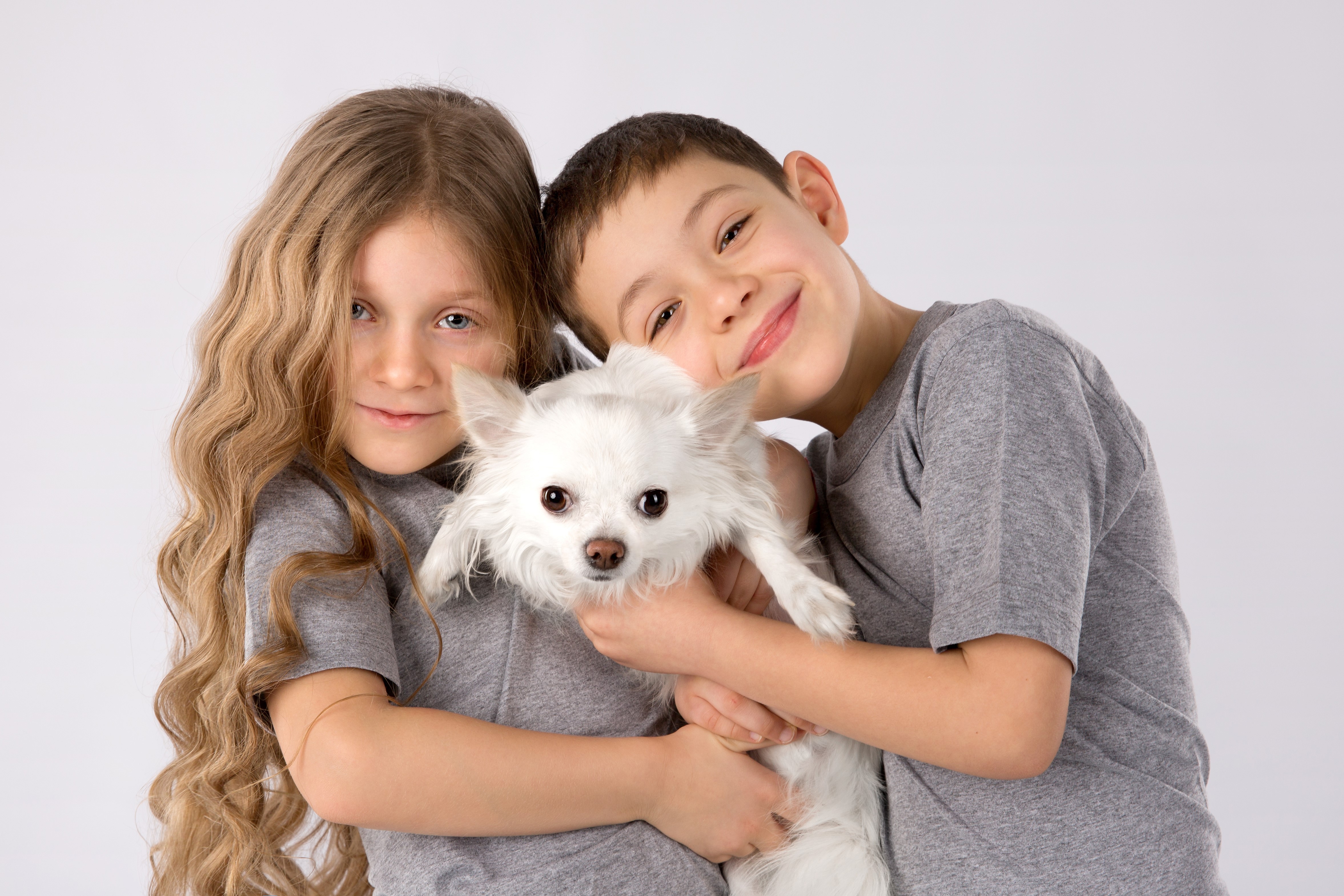 Children with Chihuahua on Gray Background HD Wallpaper