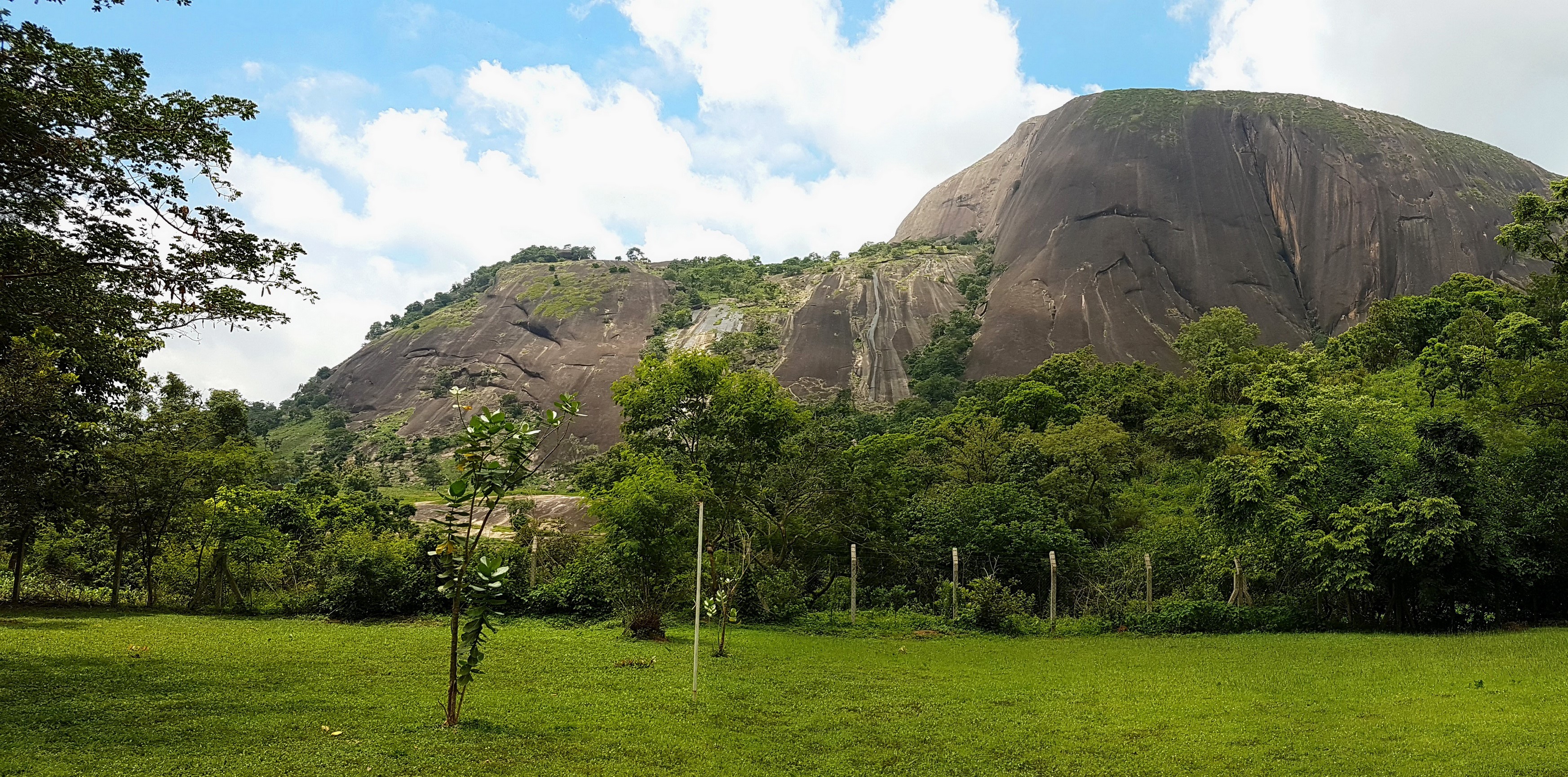 Mountain landscape with trees and grass in Nigeria HD Wallpaper
