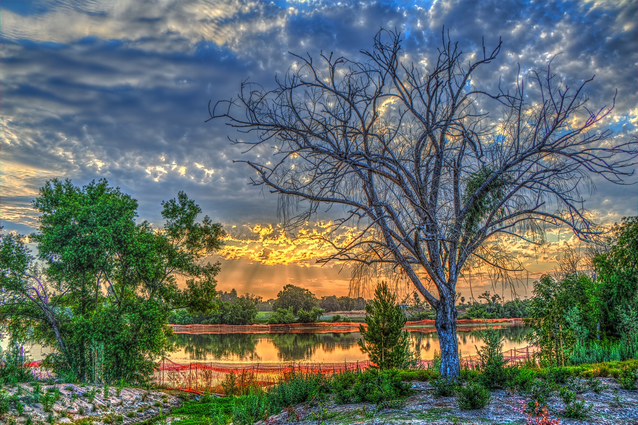 Lake Marchado at sunrise with dramatic clouds and trees HD Wallpaper
