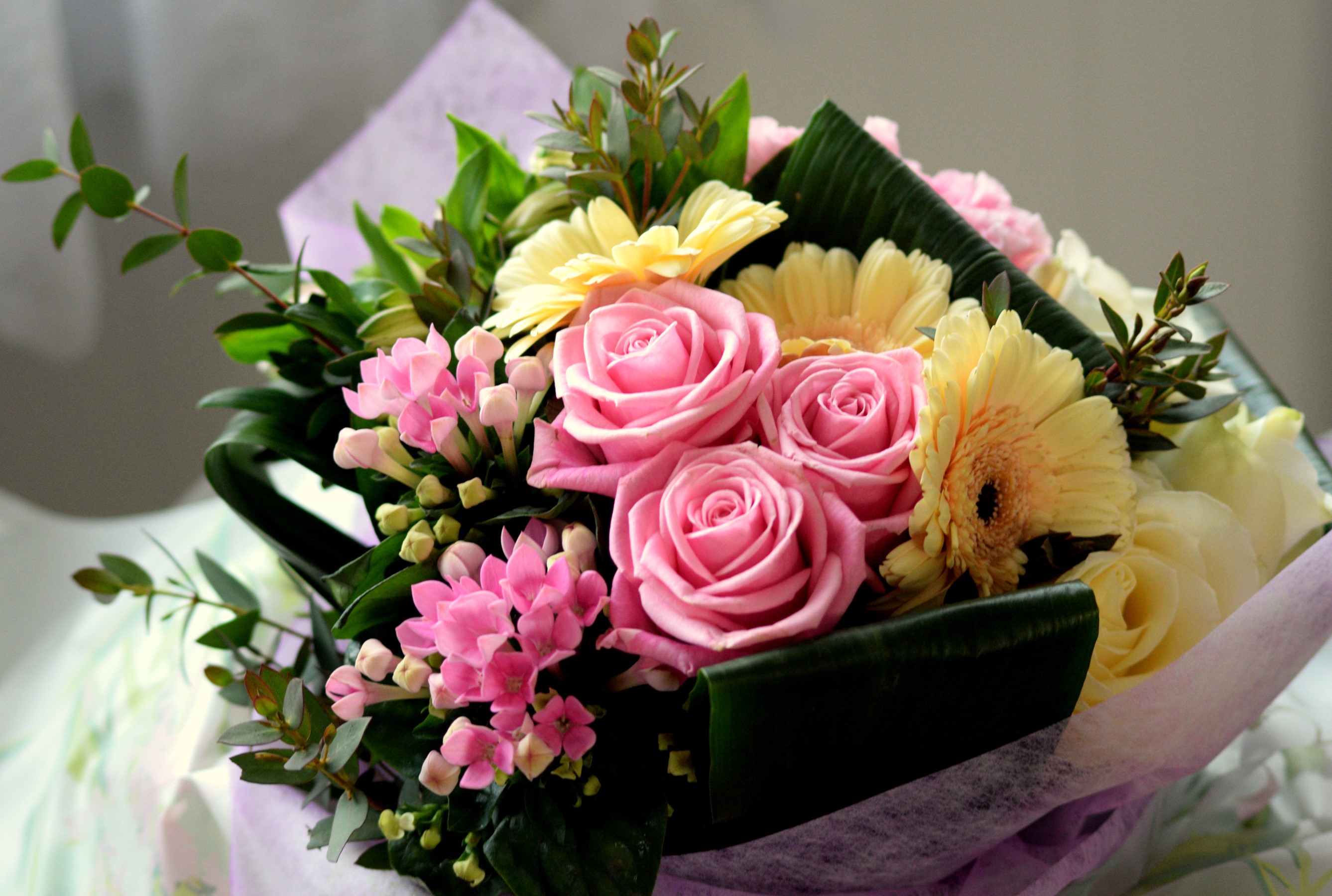 Pink Roses, Yellow Gerbera Daisies, and Pink Flowers Bouquet HD Wallpaper