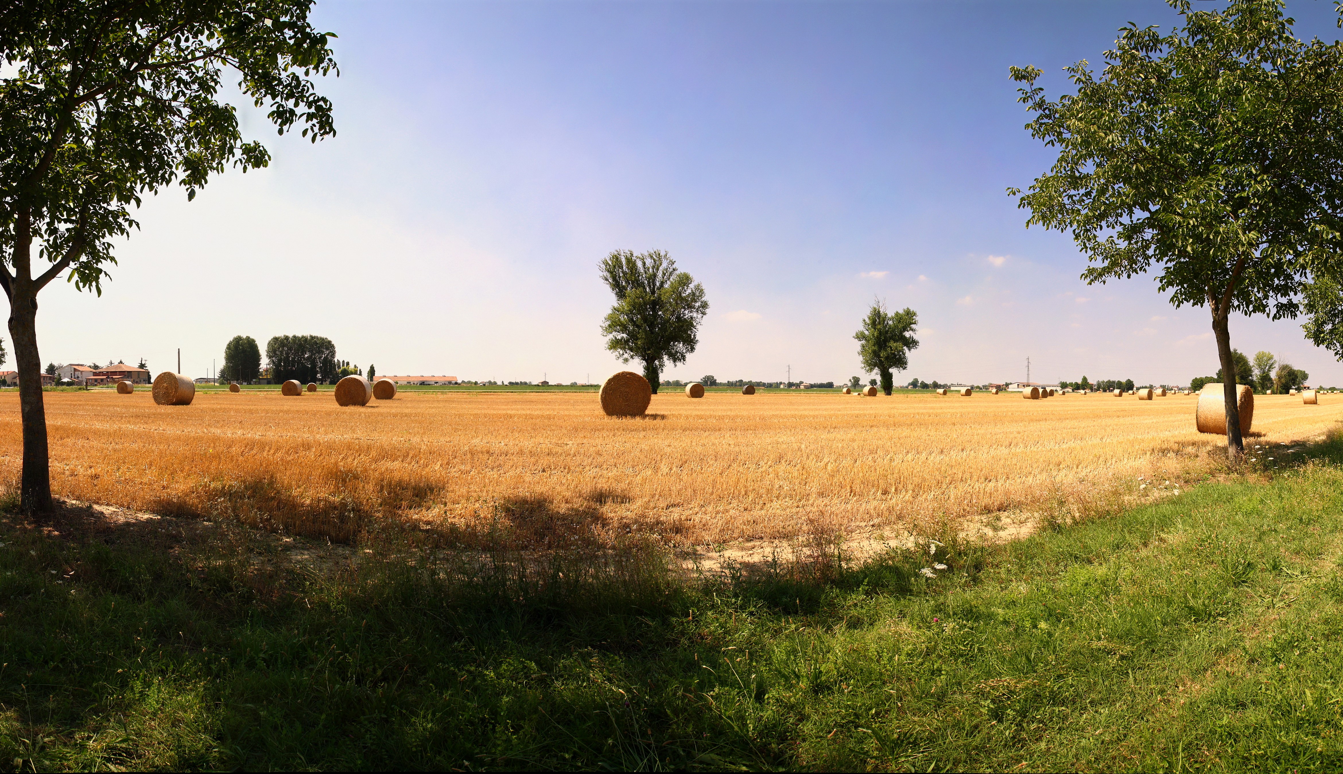 Hay bales in a harvested field under a blue sky HD Wallpaper