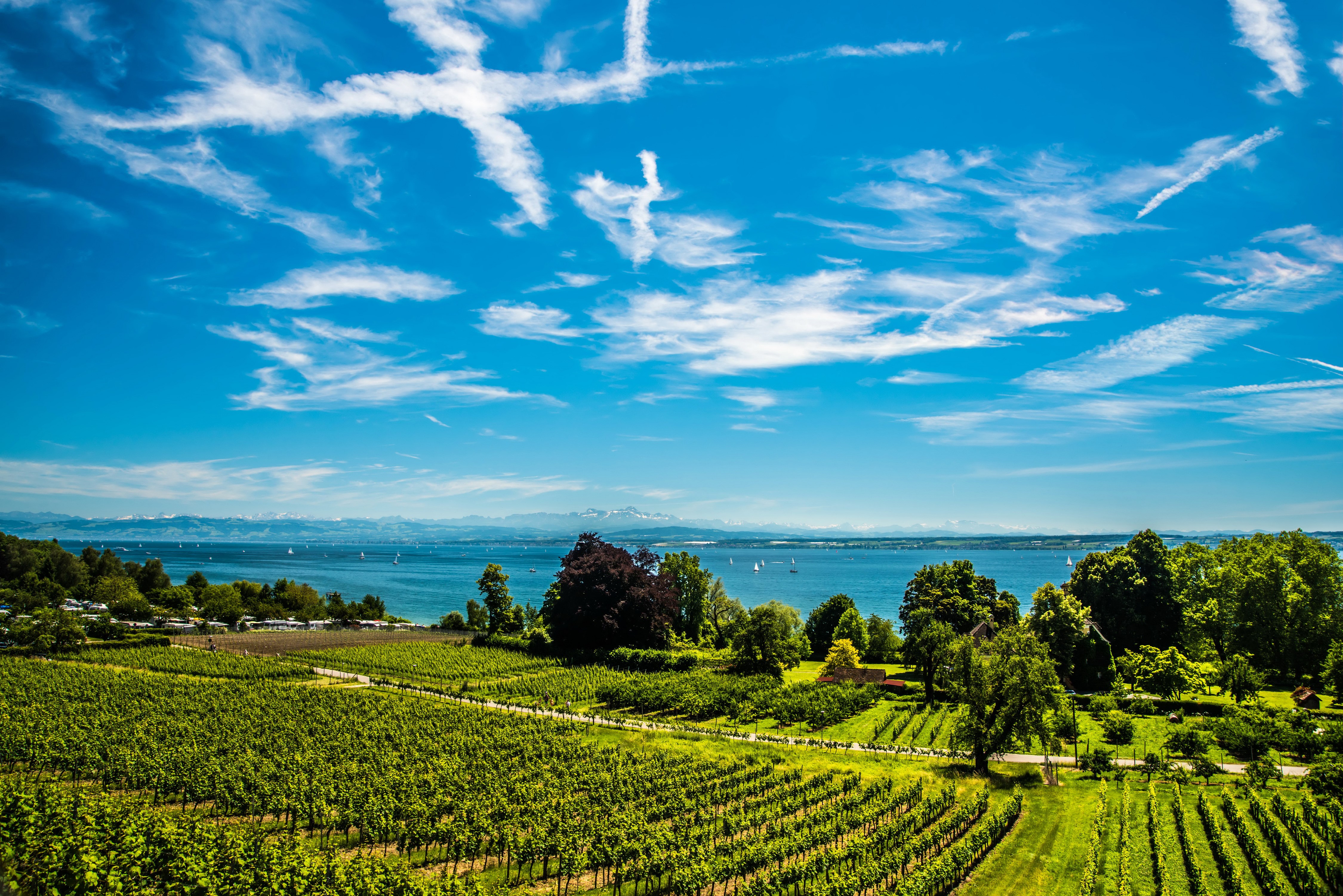 Lake Constance Hagnau Germany Scenery with Vineyards HD Wallpaper