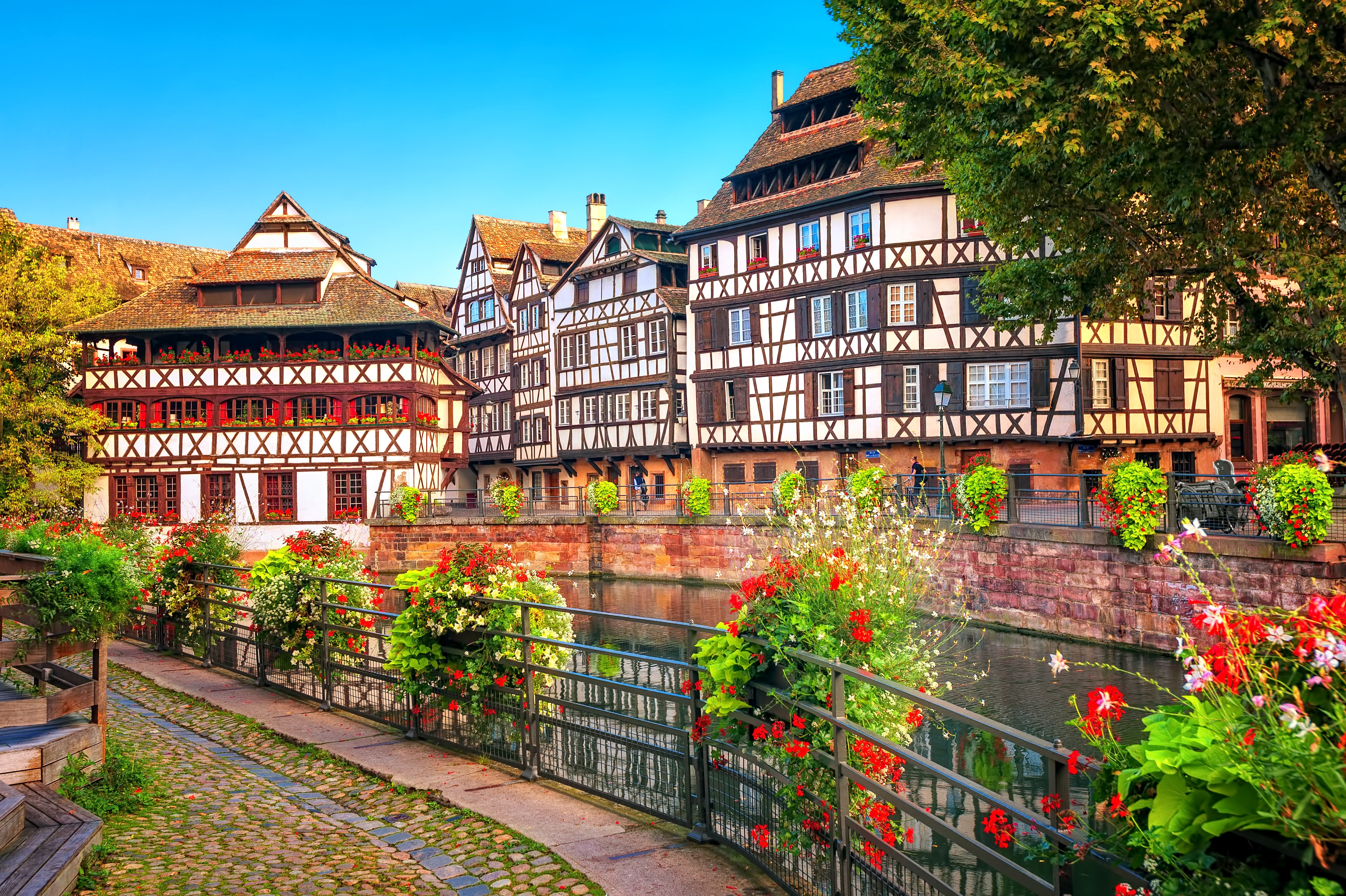 Strasbourg half-timbered houses along a river HD Wallpaper
