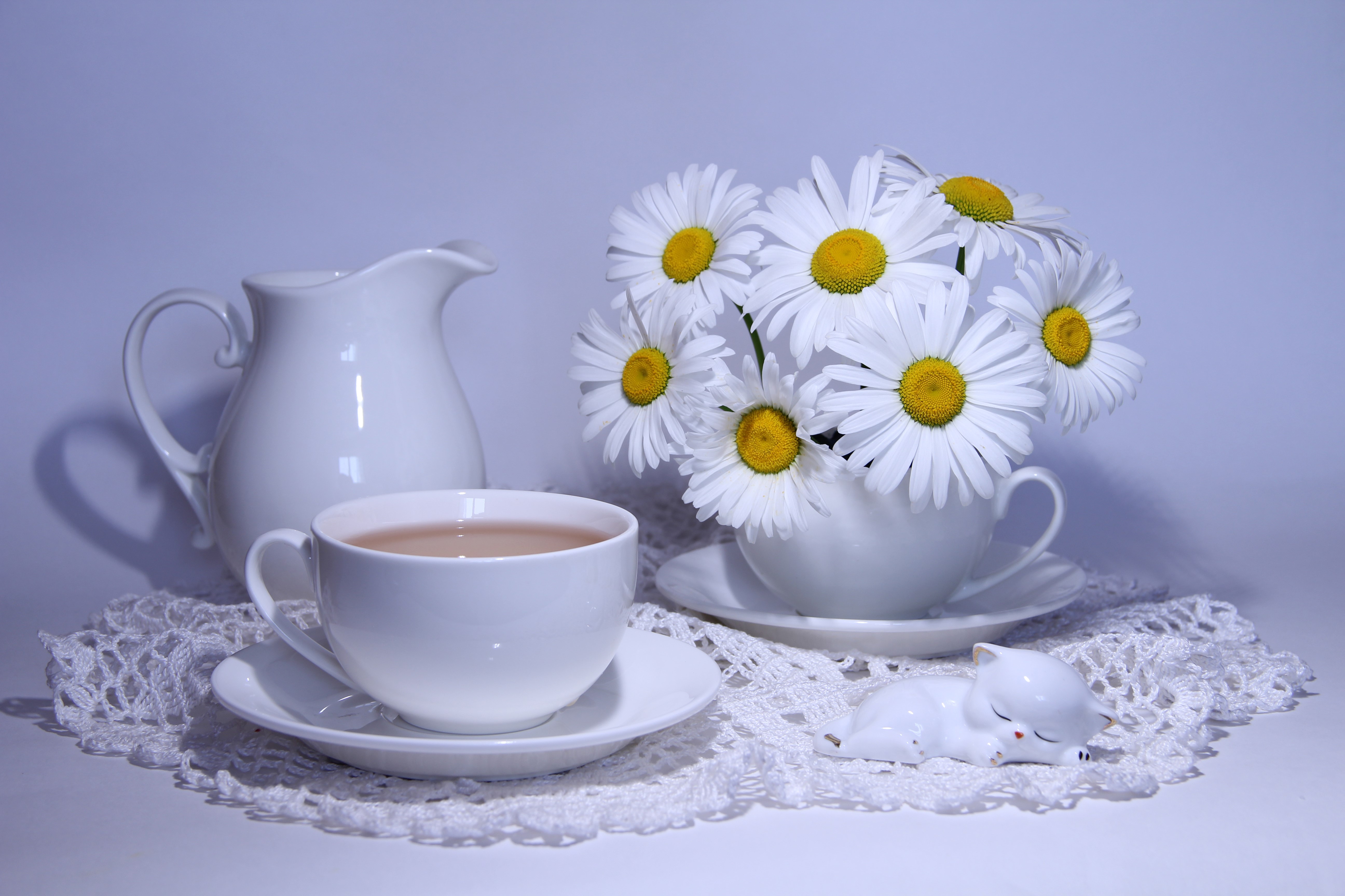 4K White Tea Set with Chamomile Flowers HD Wallpaper