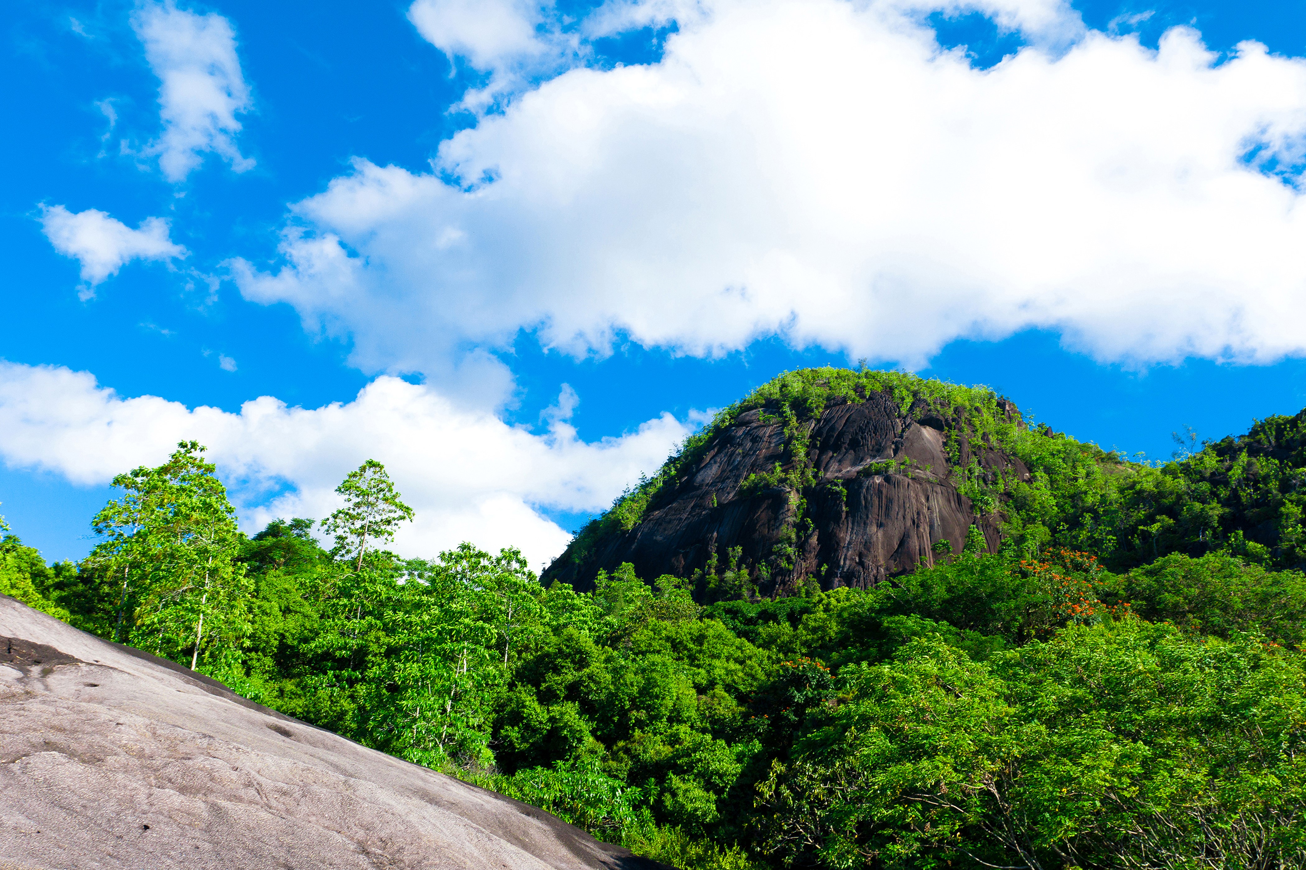 Mountain Crag with Green Forest and Blue Sky HD Wallpaper