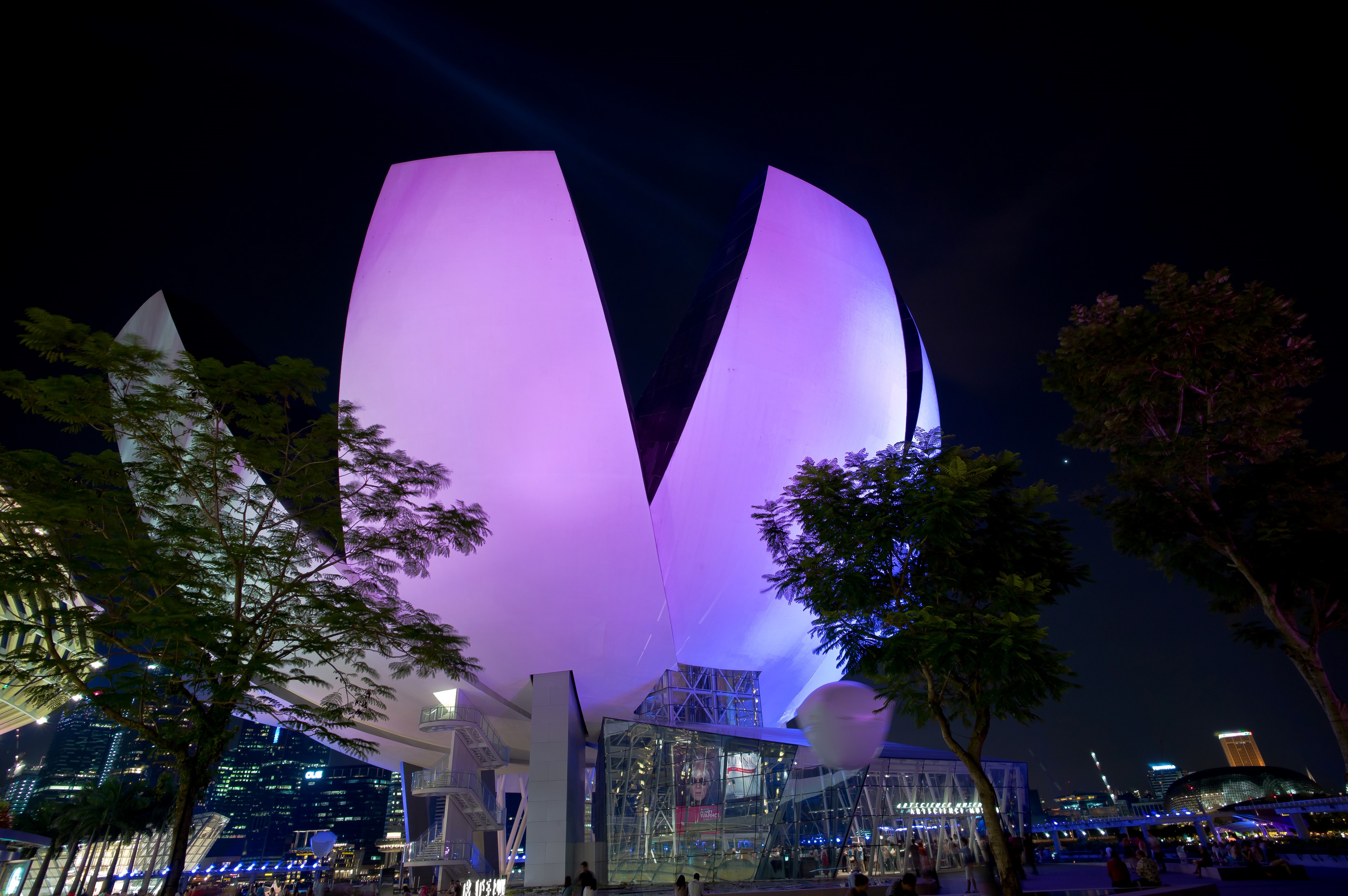 ArtScience Museum Singapore at Night HD Wallpaper