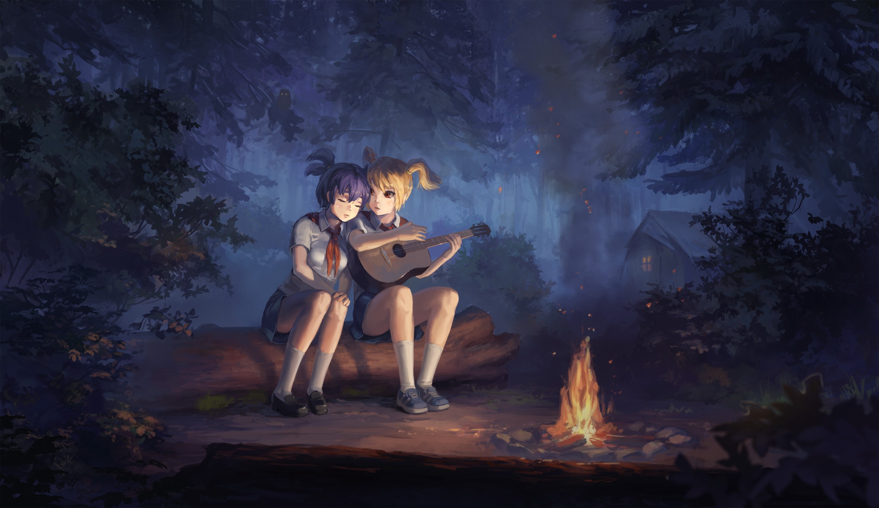 Two girls playing guitar by a bonfire at night HD Wallpaper