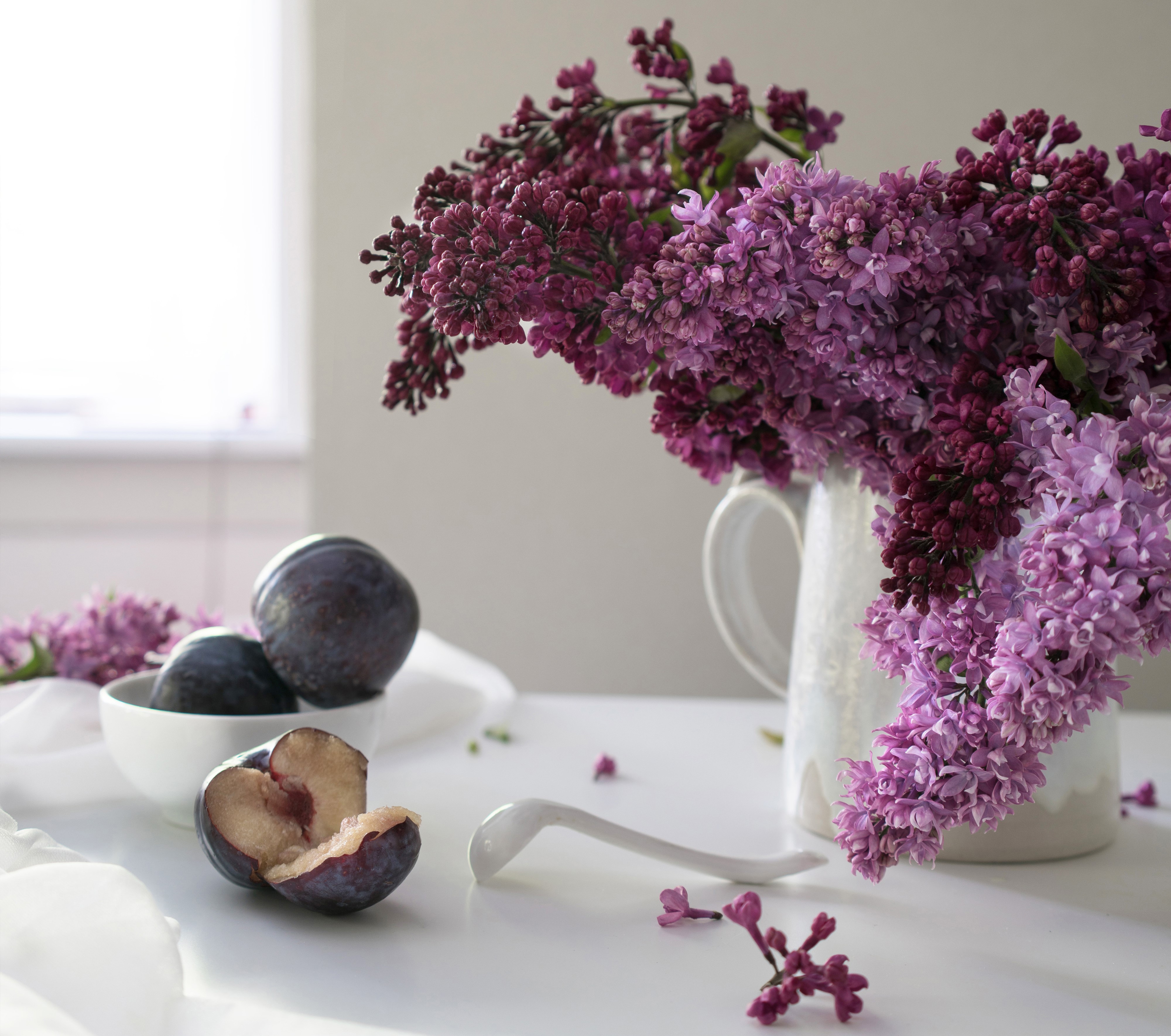 Still-life with Lilac and Plums HD Wallpaper