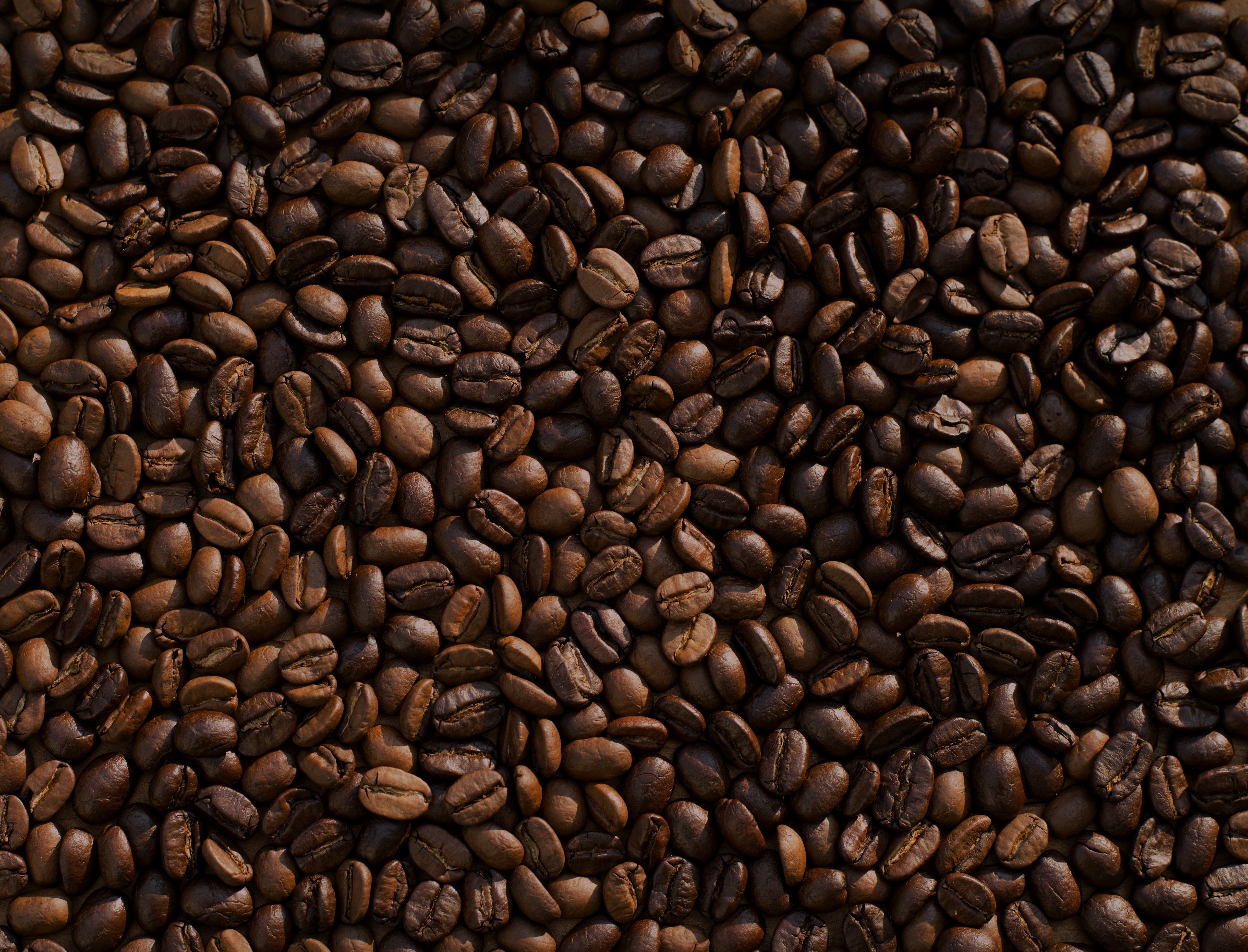 Coffee beans texture, many roasted grains HD Wallpaper