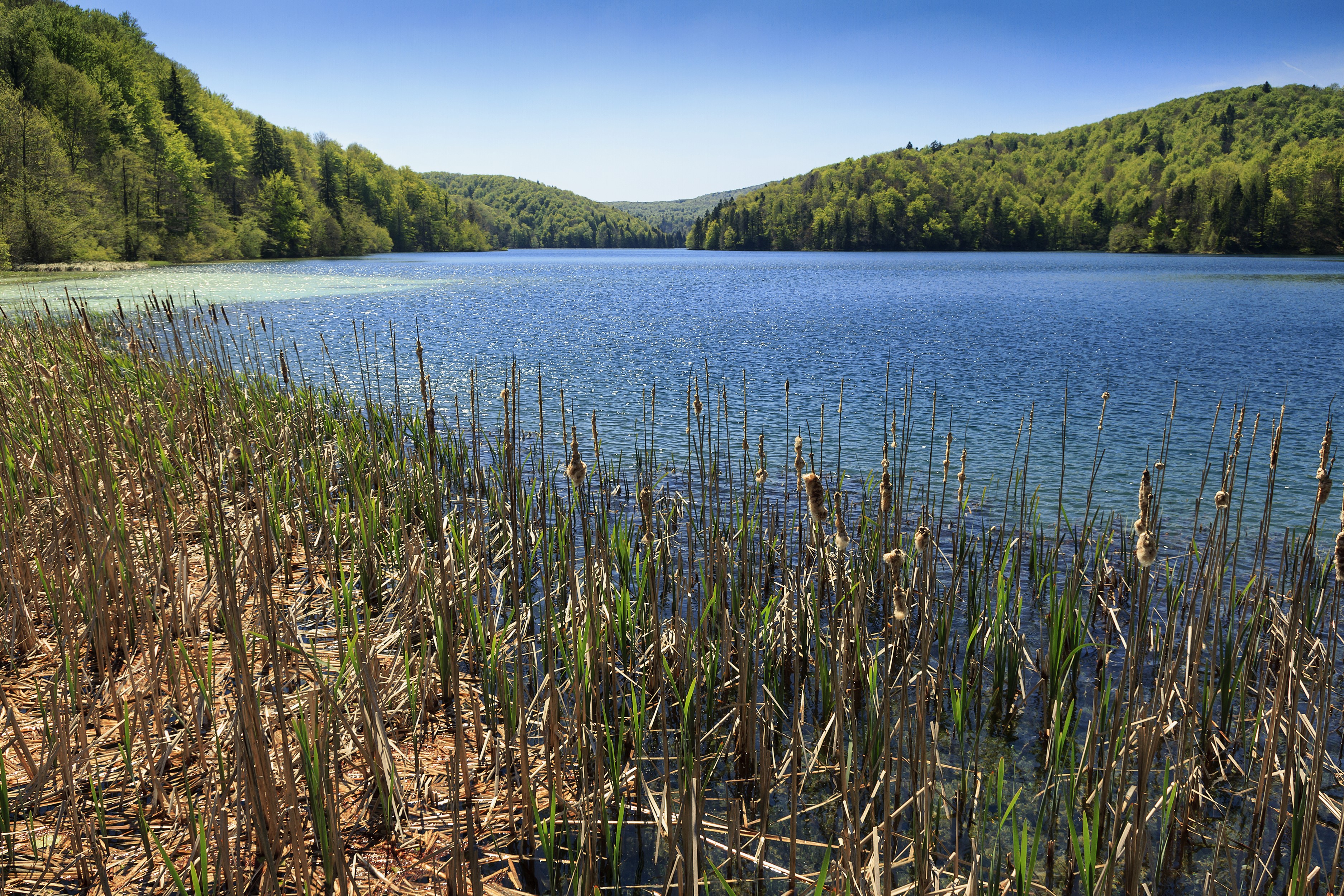 Lake and forest in Plitvice National Park, Croatia HD Wallpaper
