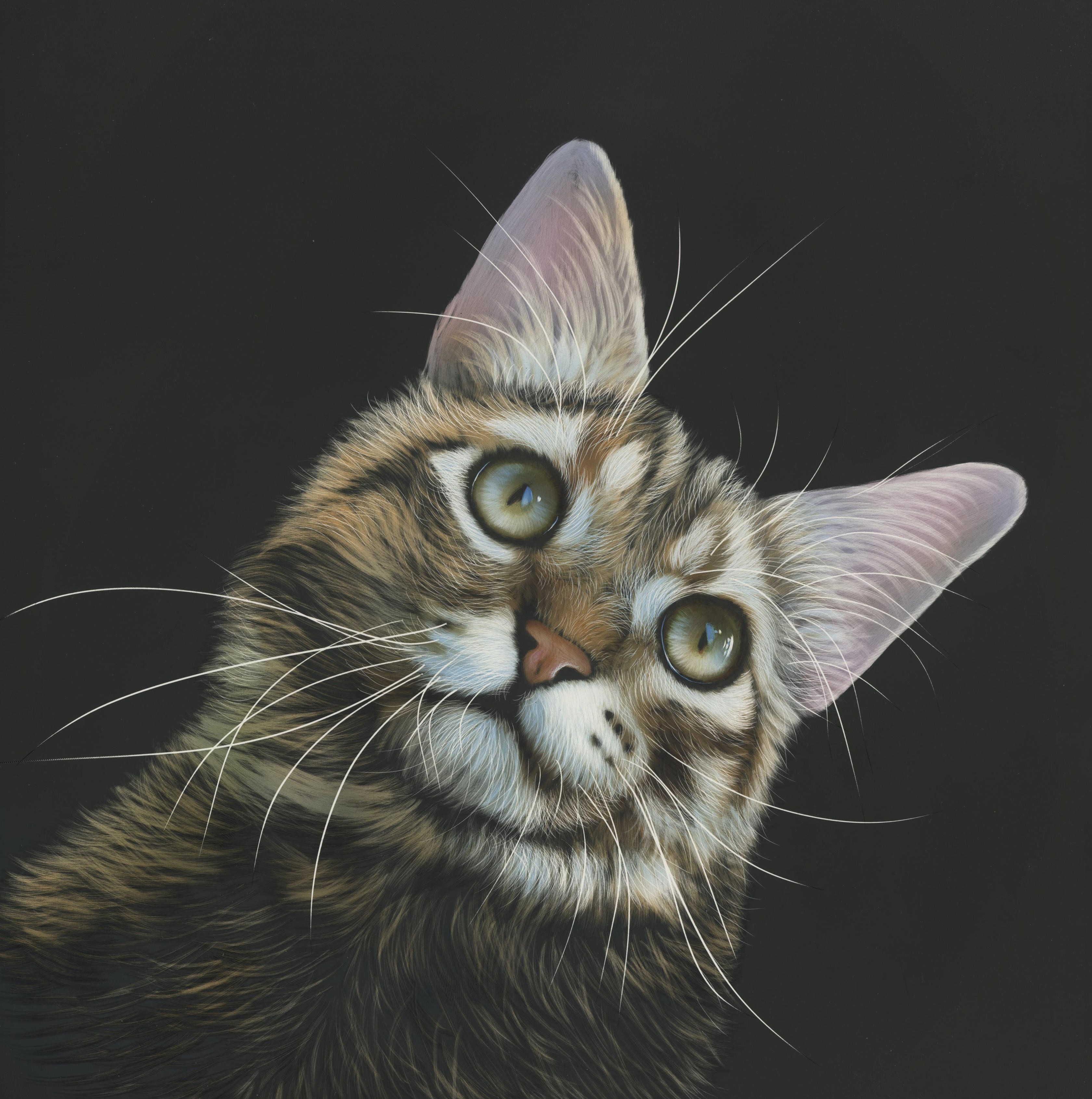 Painting of a tabby cat with green eyes on a black background HD Wallpaper