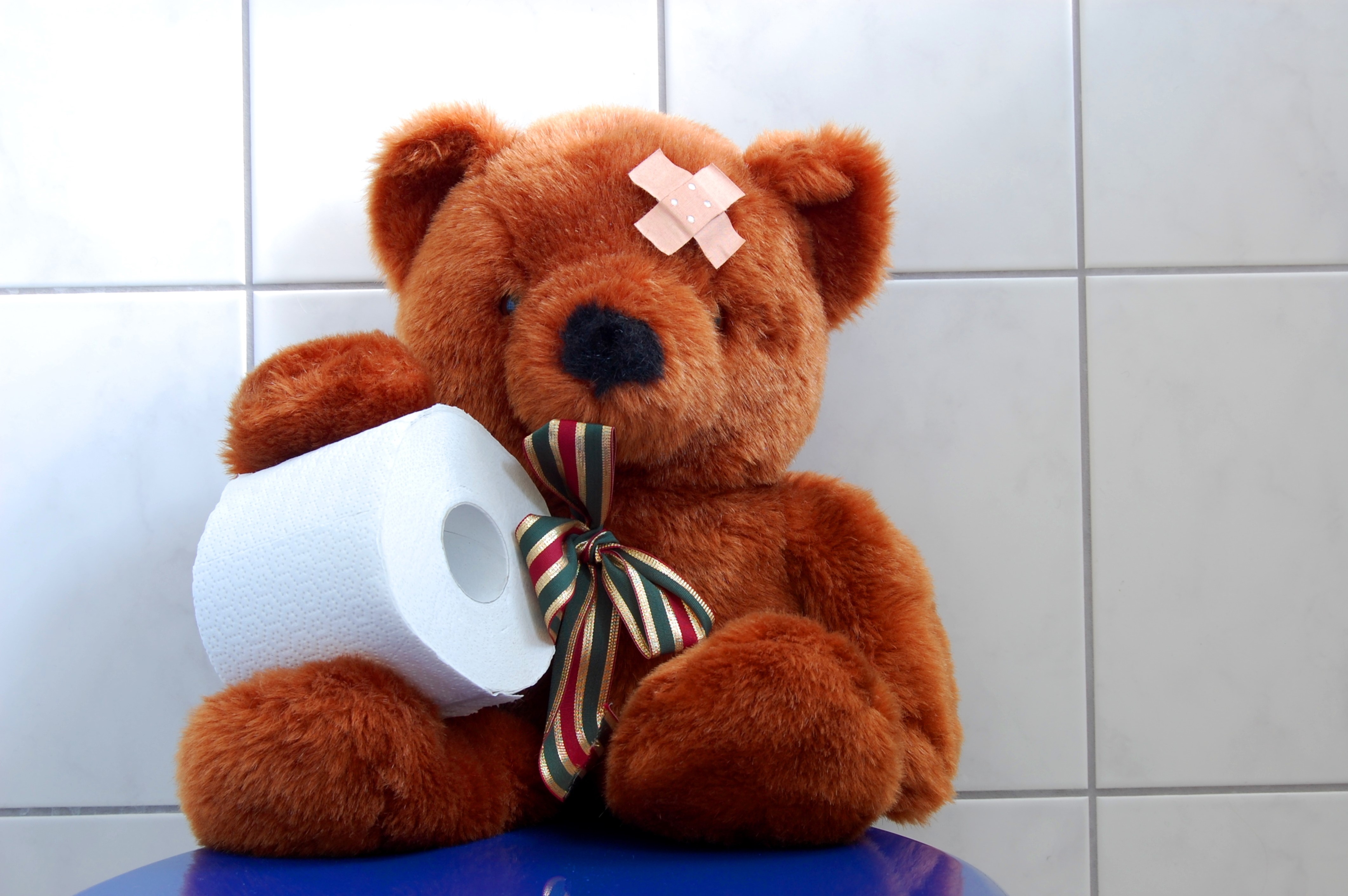 Teddy bear with toilet paper and band-aids HD Wallpaper