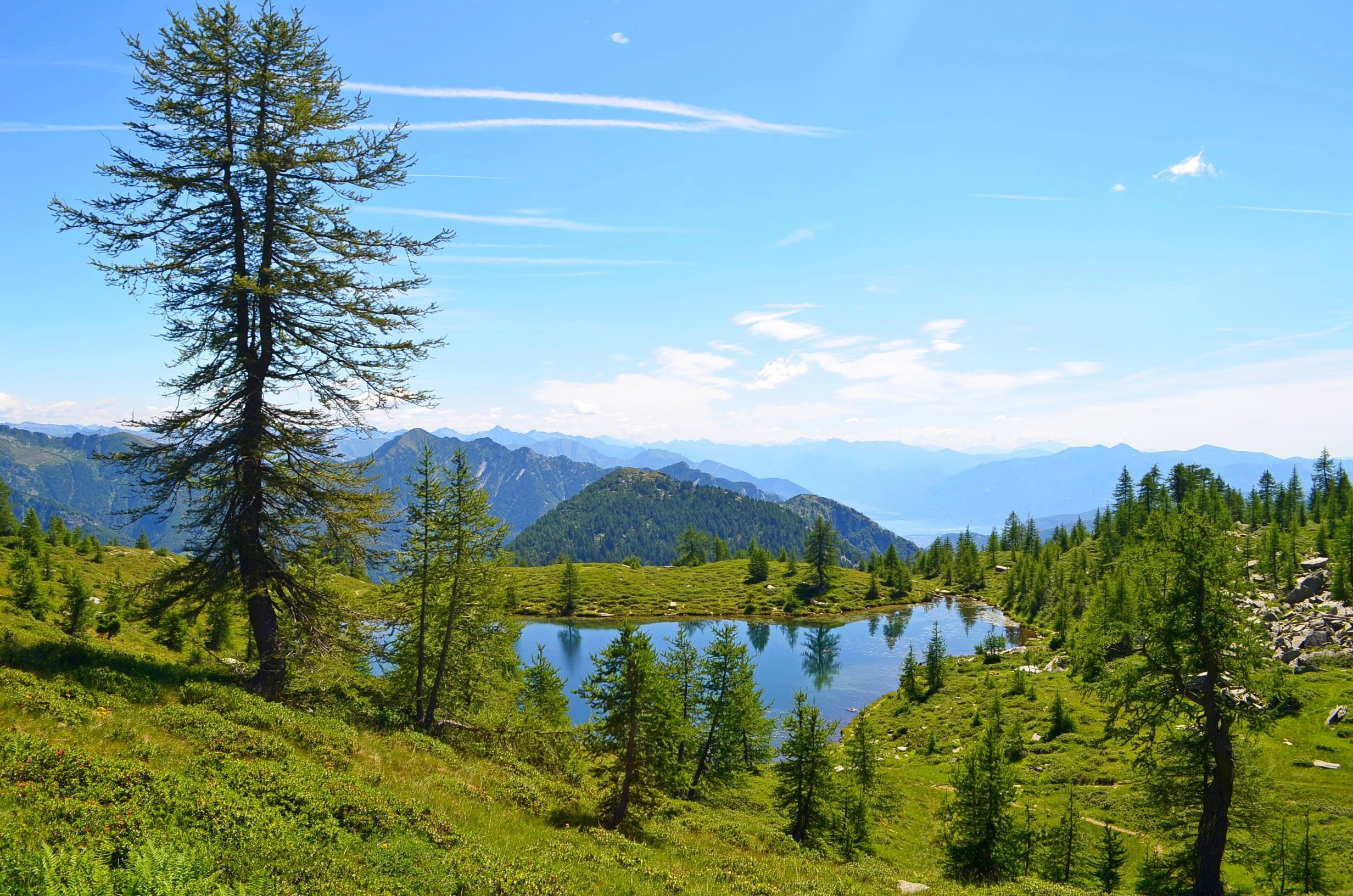 Mountain lake with trees and distant mountains HD Wallpaper