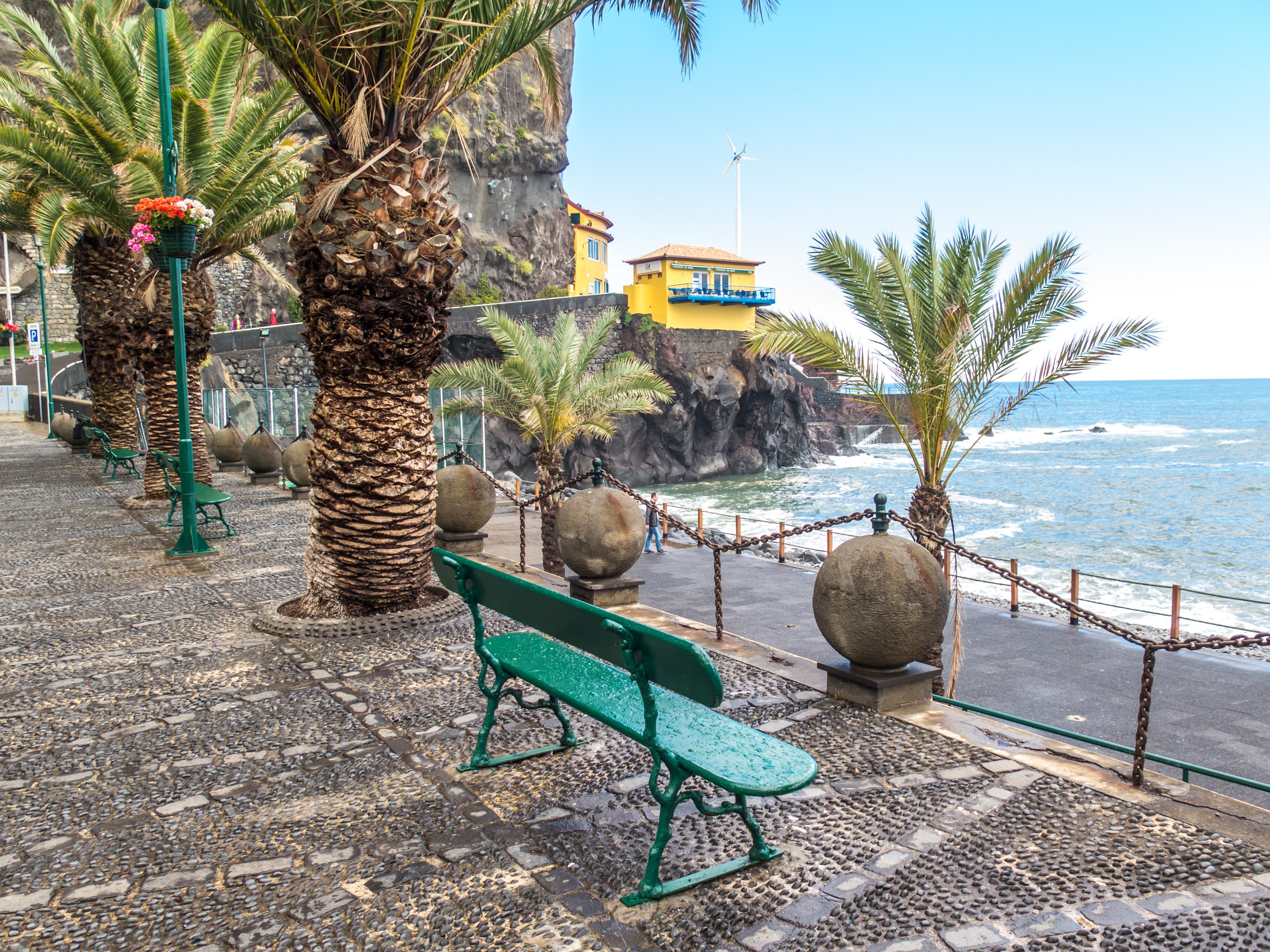Bench and palm trees on the coast of Ponta do Sol, Madeira HD Wallpaper