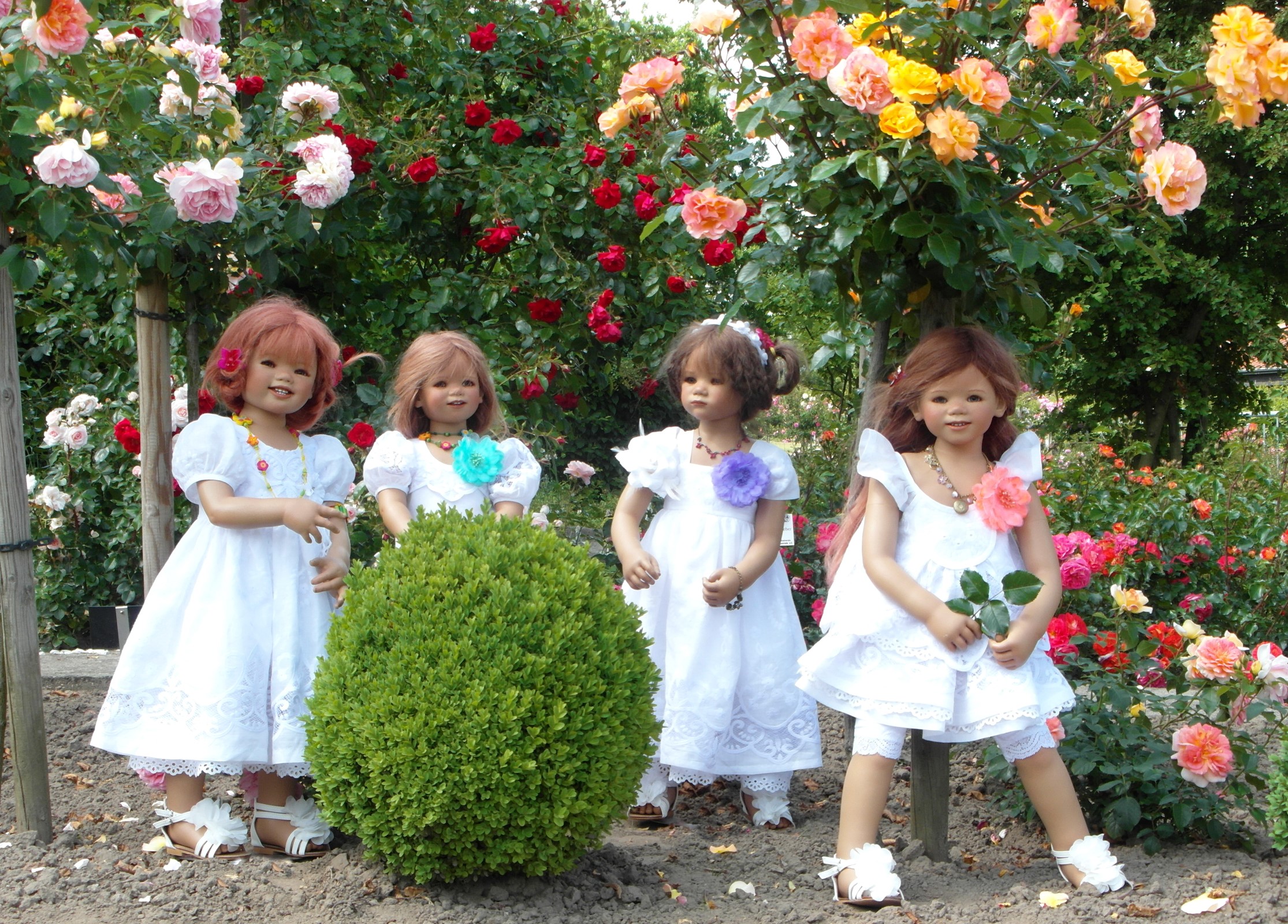 Four dolls dressed as little girls in a rose garden HD Wallpaper