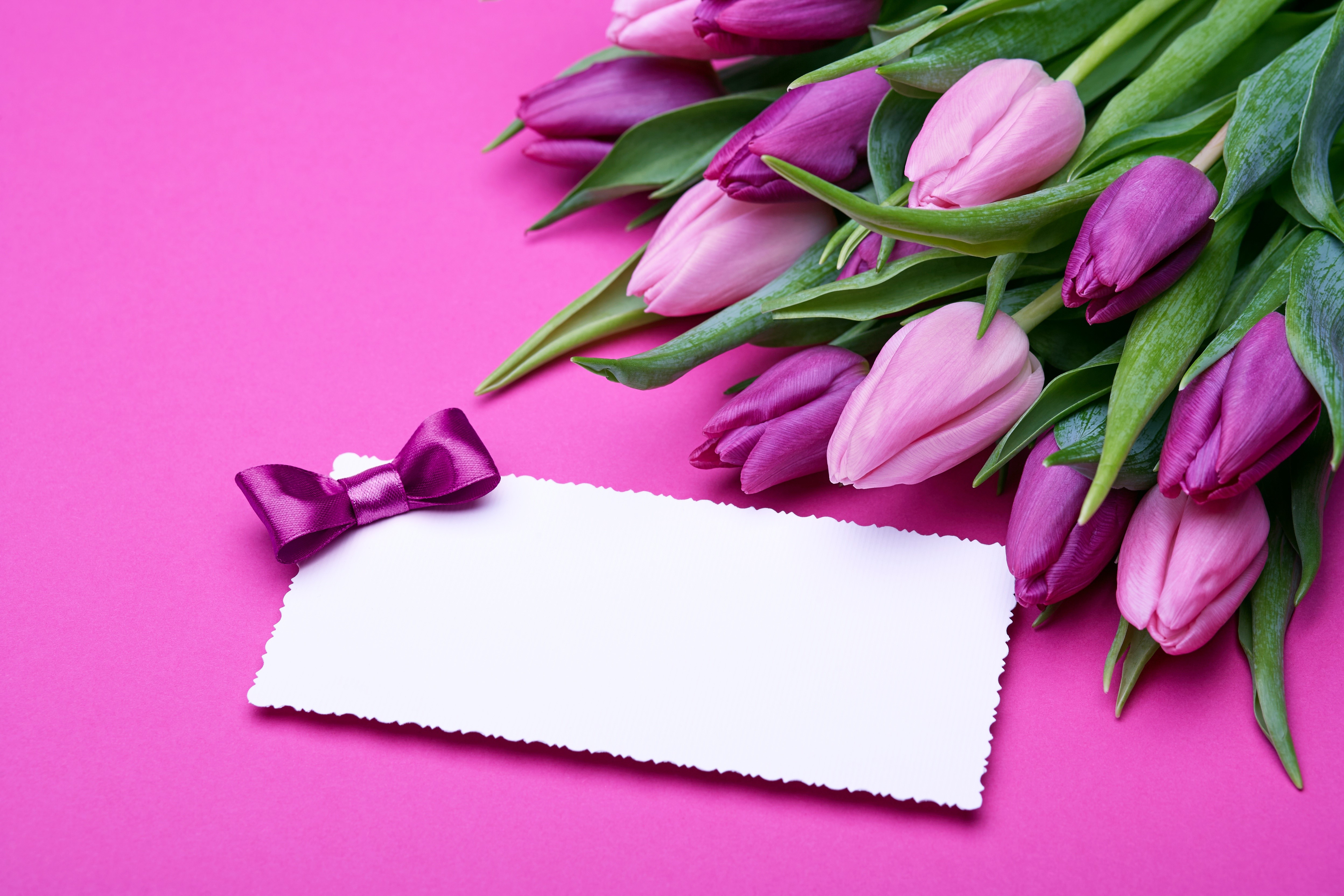 Tulips with a greeting card and bow HD Wallpaper