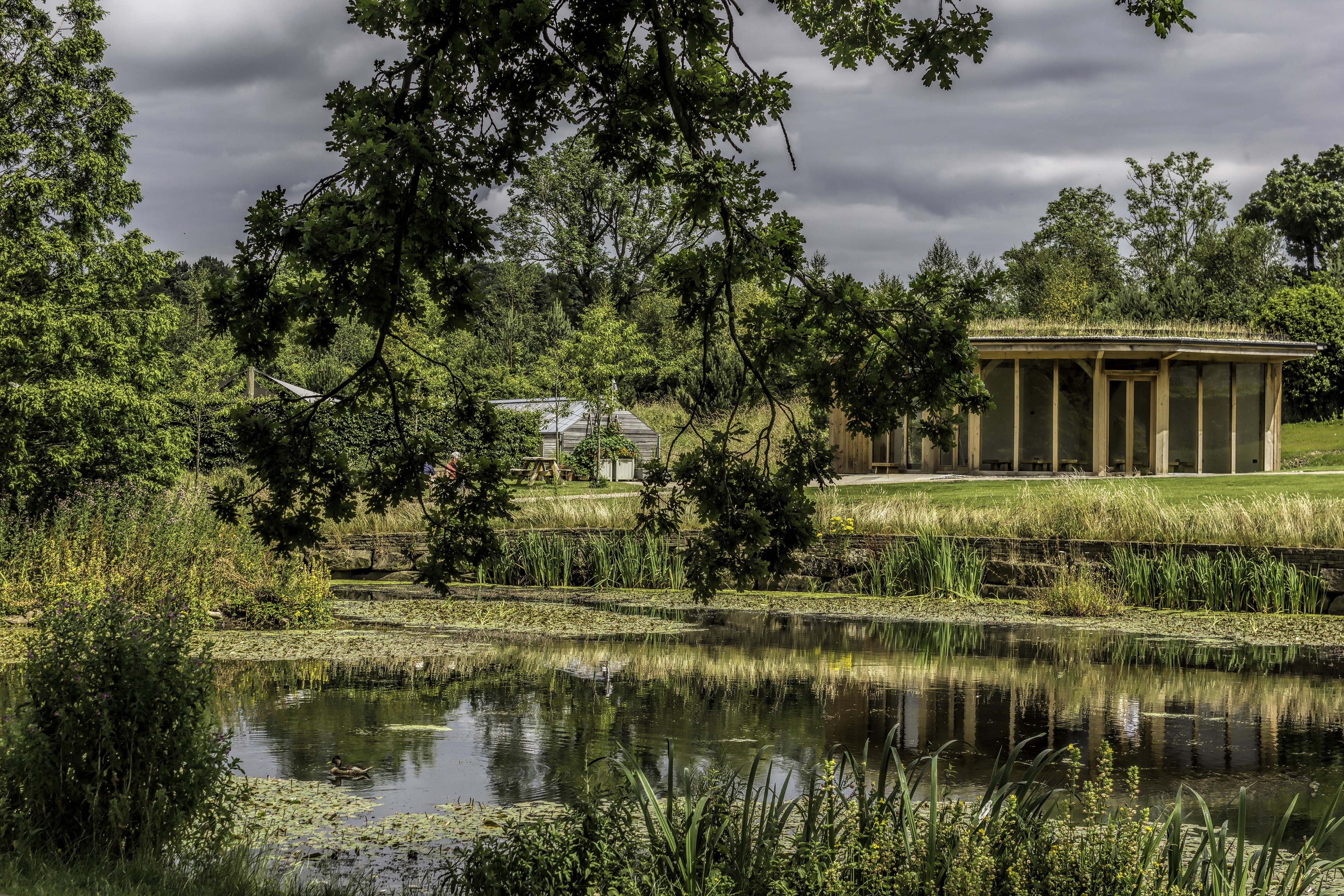 Garden pond with modern building and trees HD Wallpaper