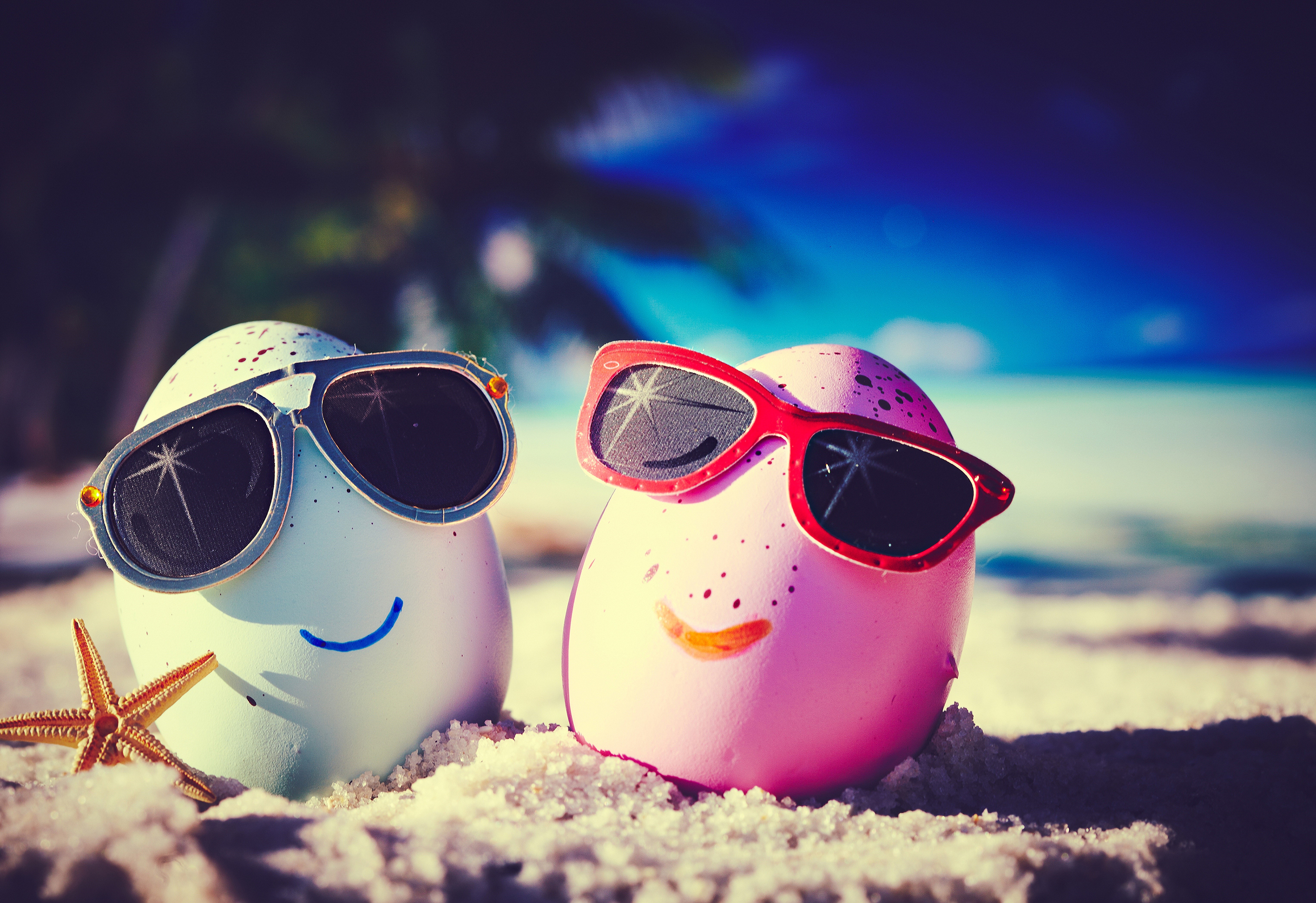 Two eggs with sunglasses on a beach HD Wallpaper