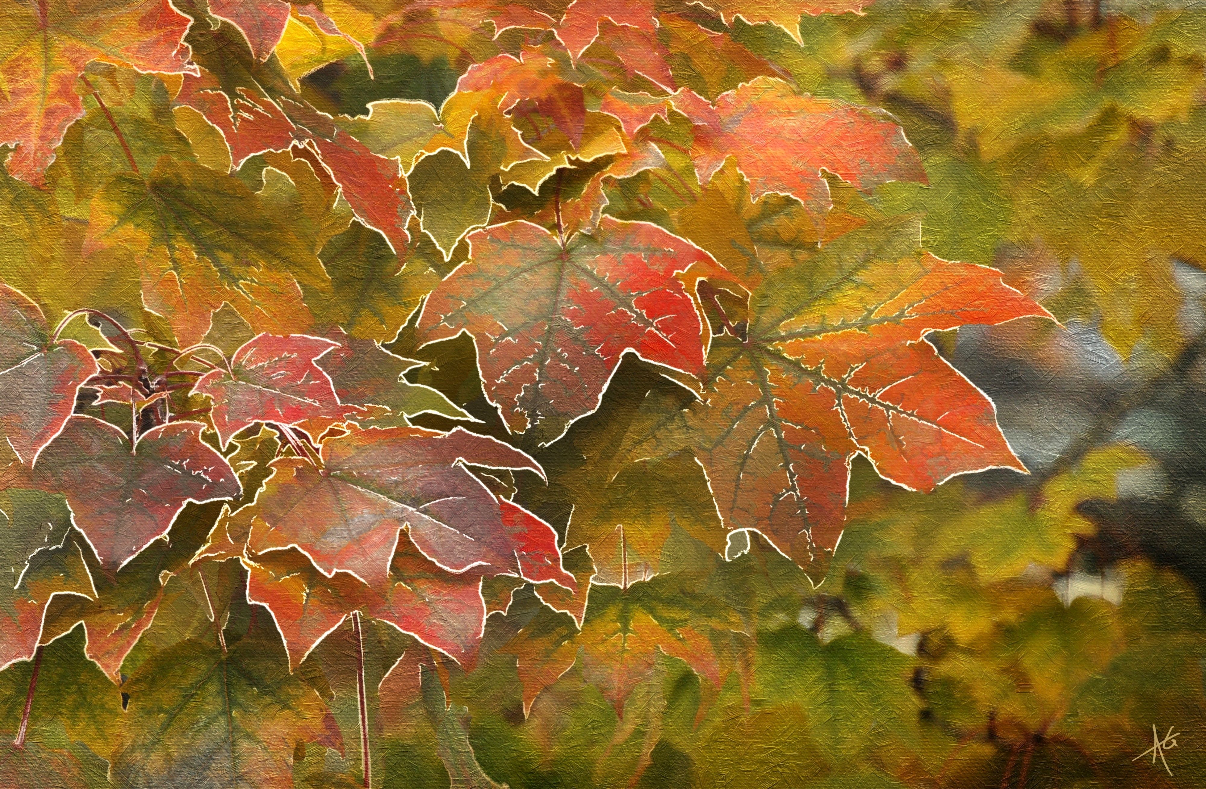 Painting Art of Maple Foliage HD Wallpaper