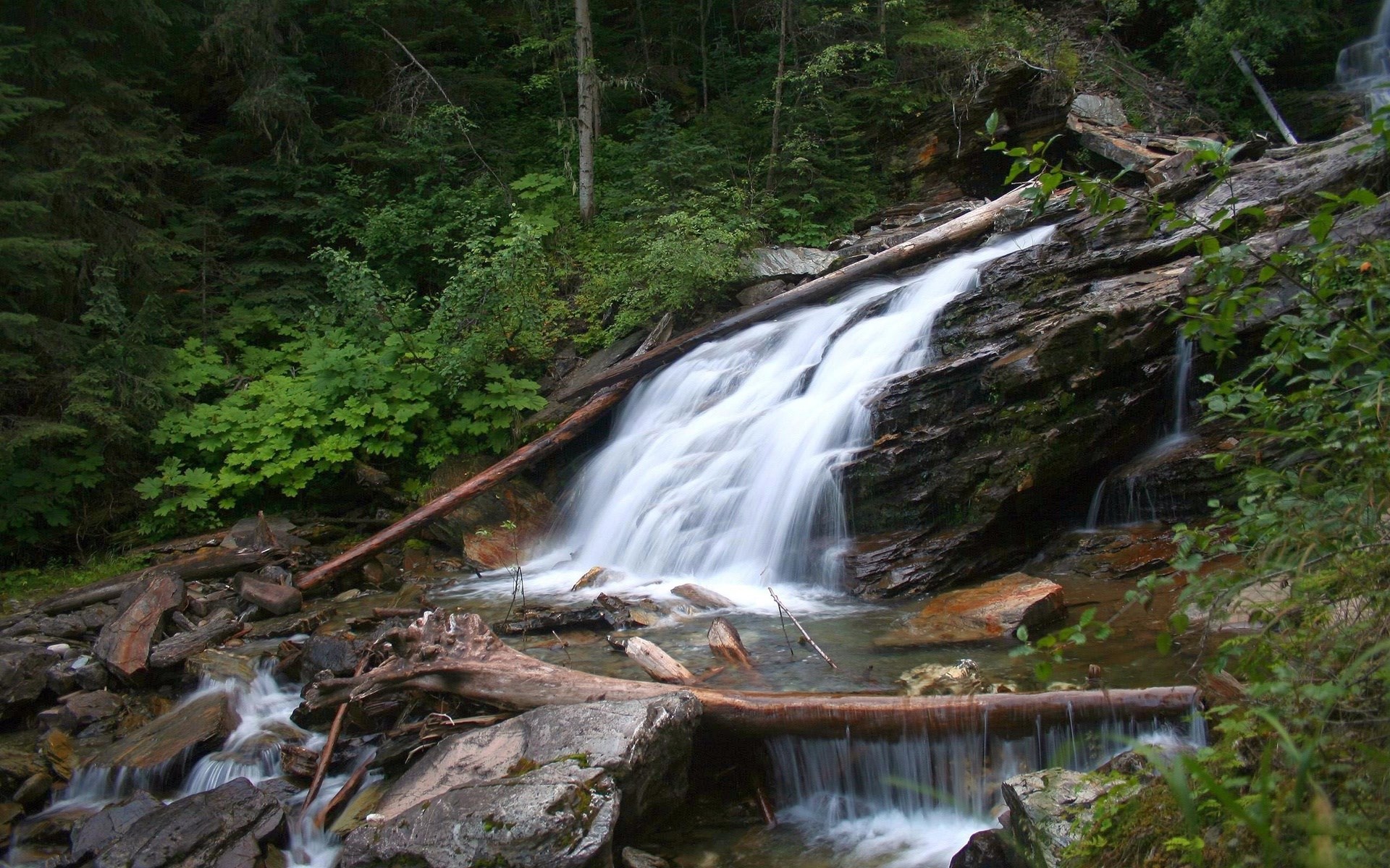 Waterfall cascading over rocks in a forest HD Wallpaper