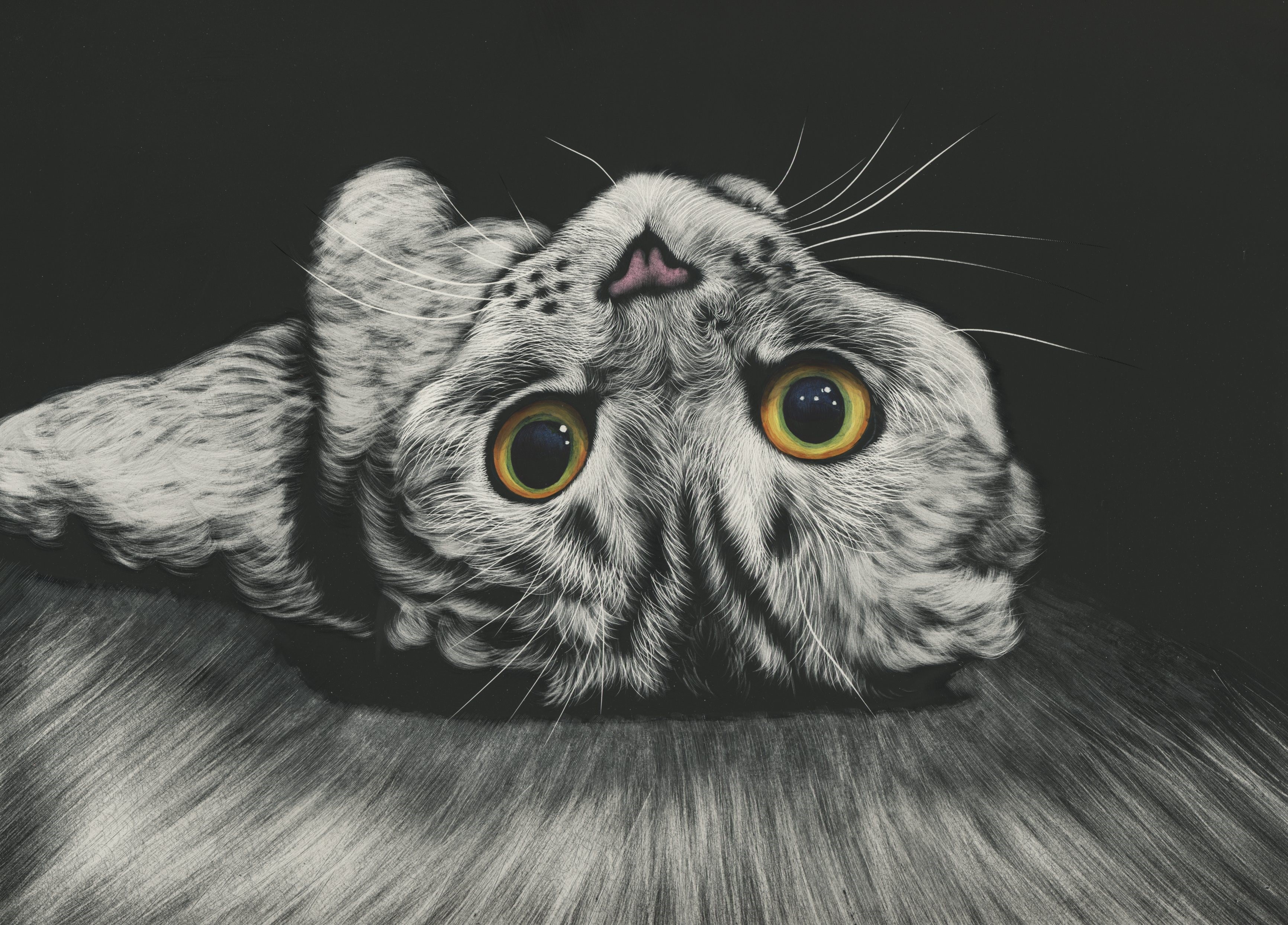 Close-up painting of a cat's face looking up HD Wallpaper