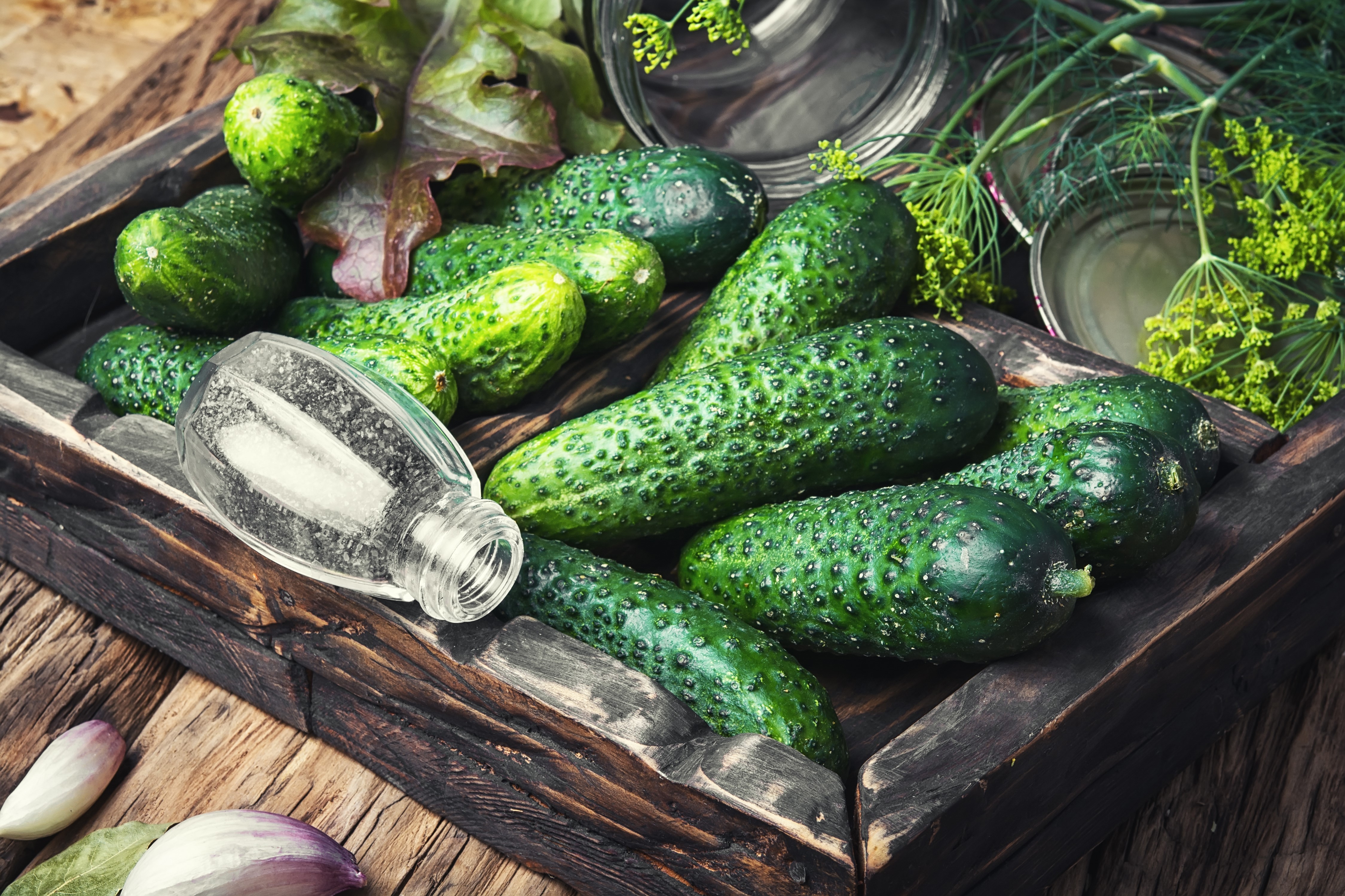 Cucumbers and Pickling Ingredients in a Wooden Crate HD Wallpaper