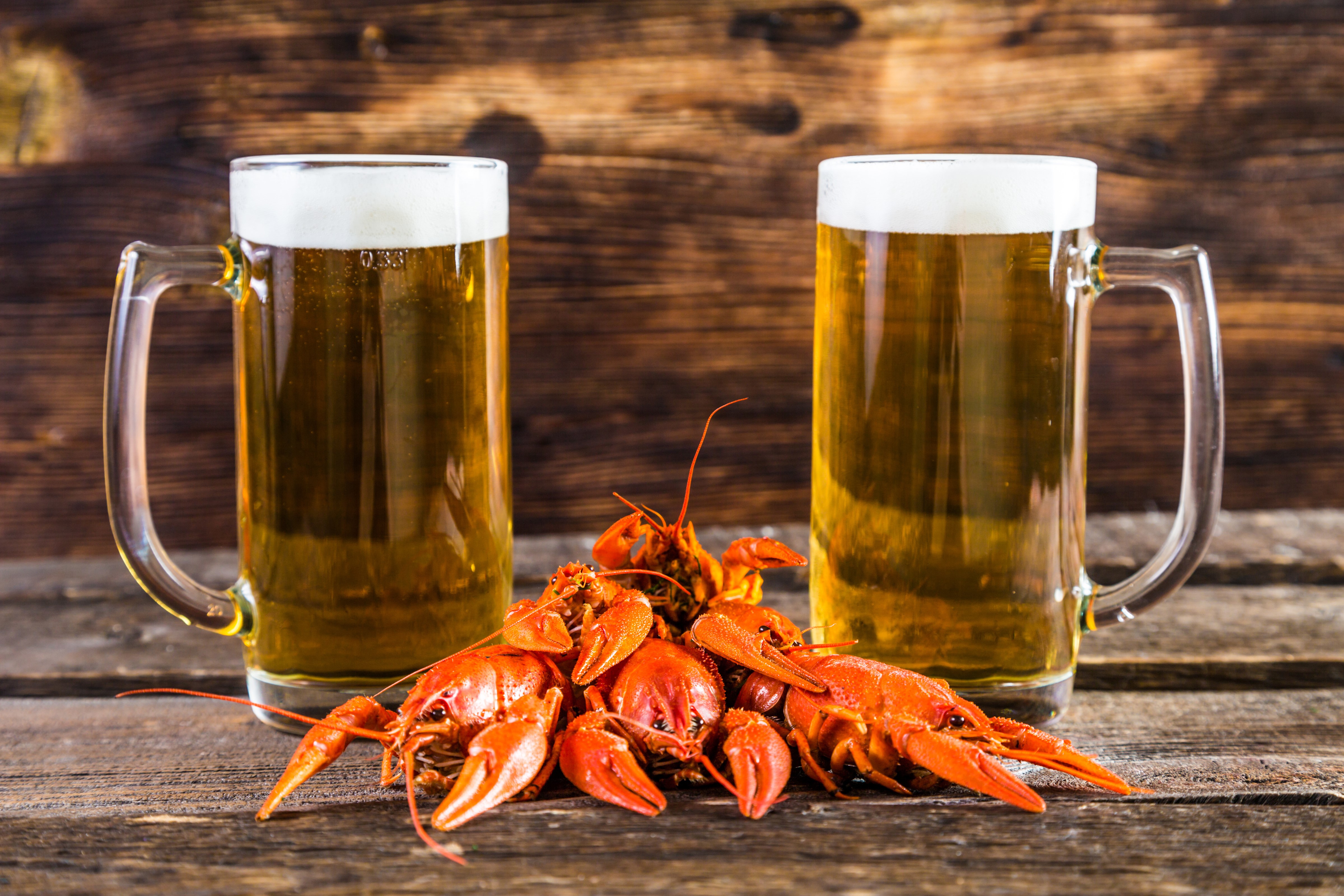 Two Mugs of Beer and Crayfish on Wood HD Wallpaper