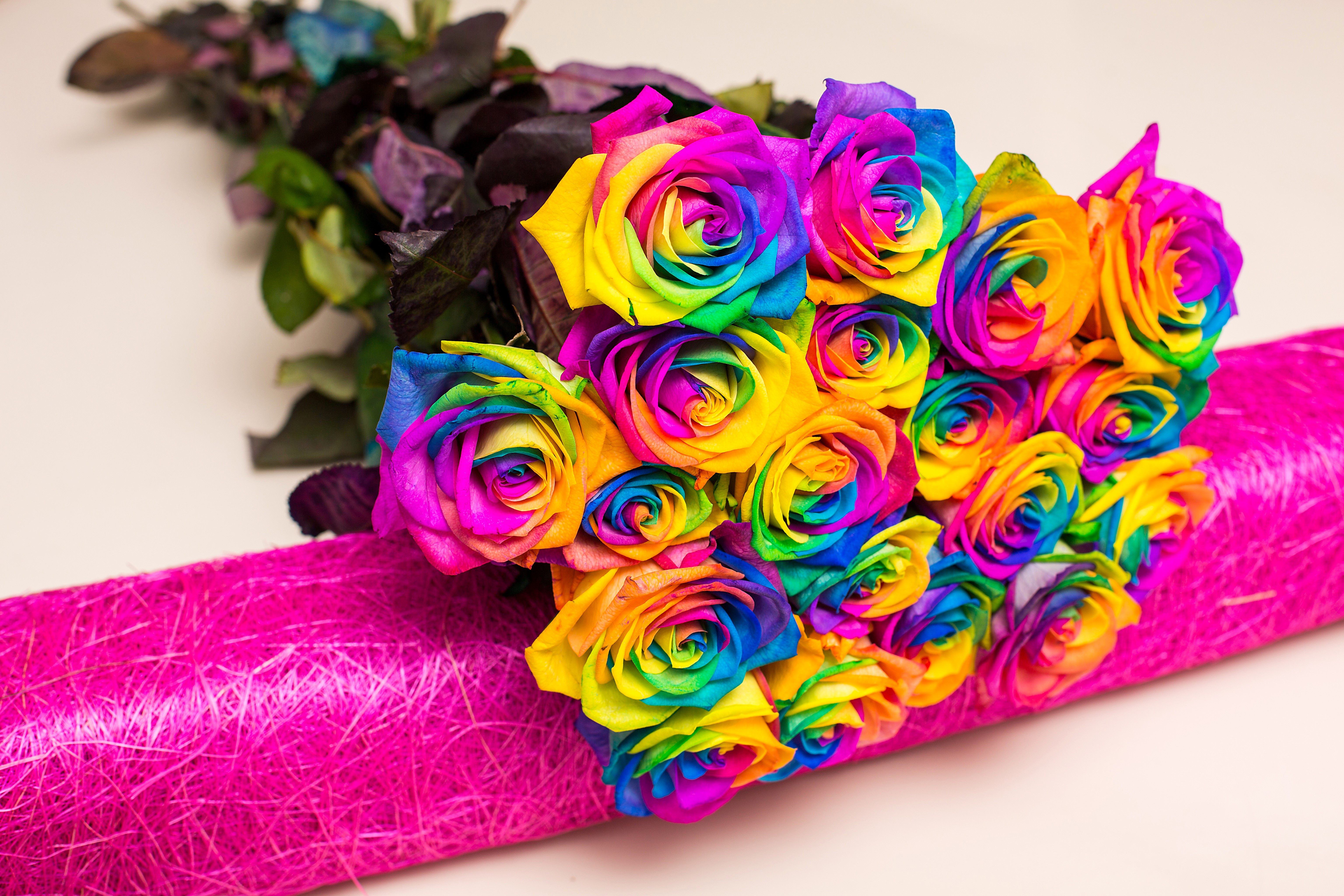 Bouquet of Multicolor Roses HD Wallpaper