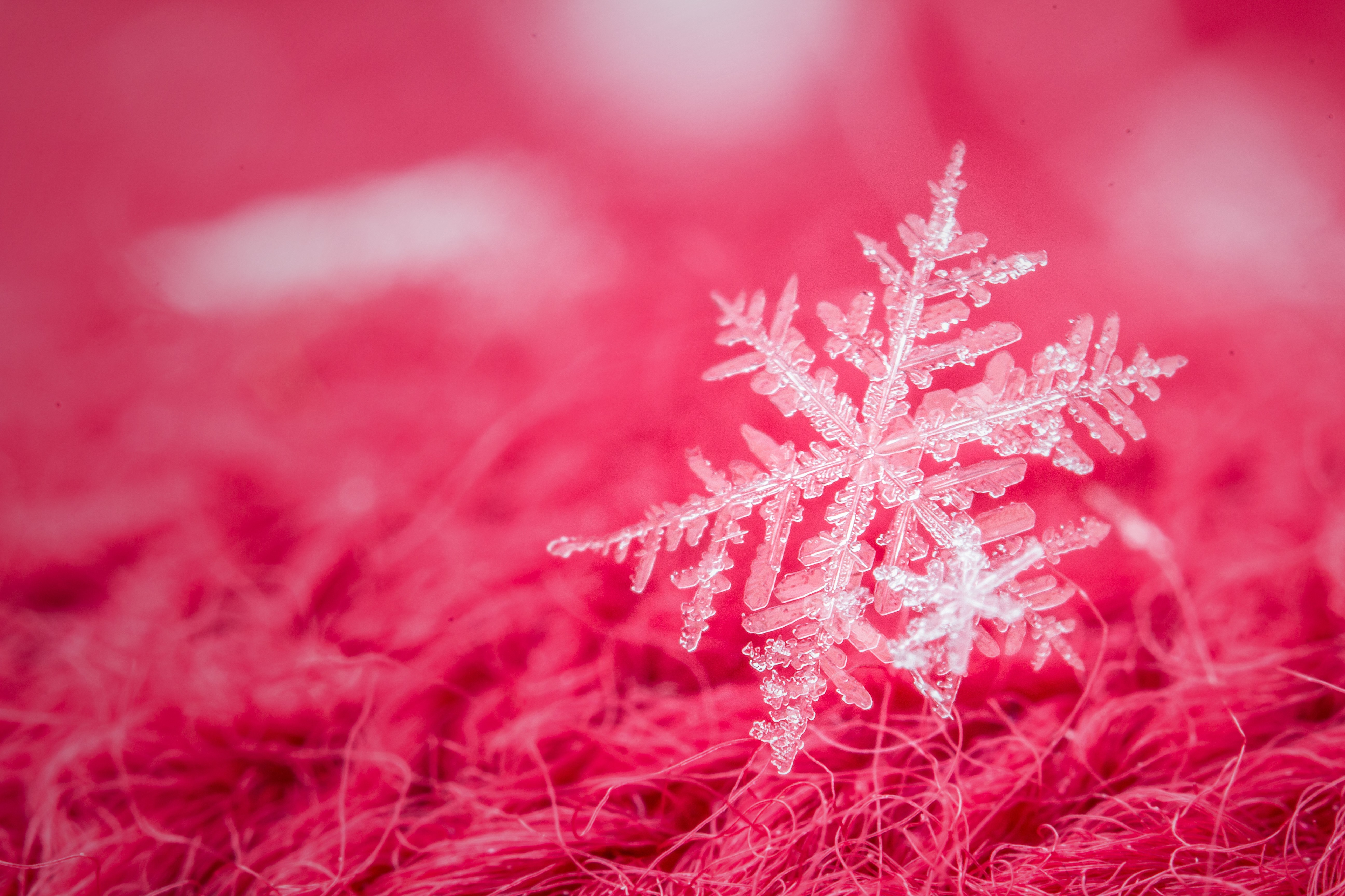 Closeup of a snowflake on pink fabric HD Wallpaper