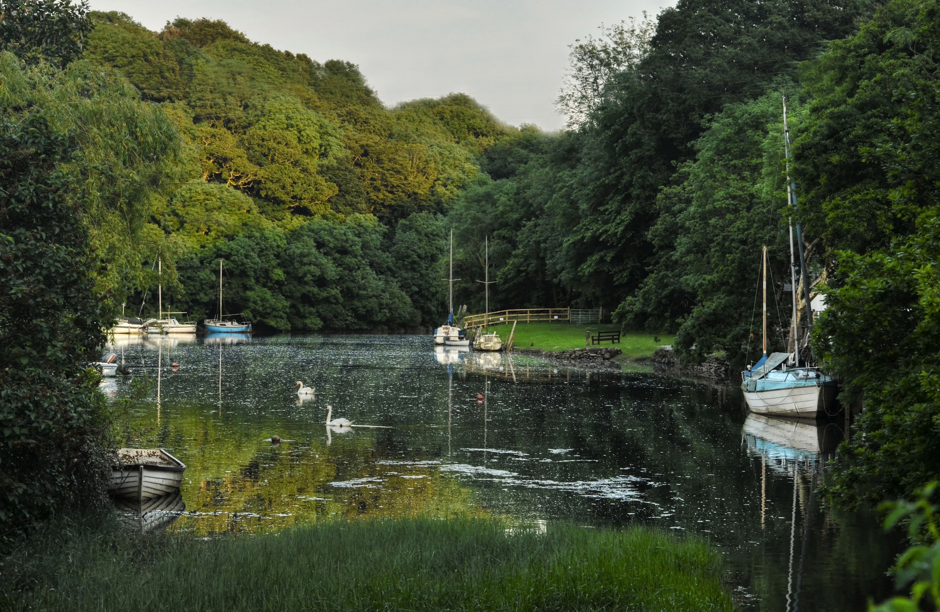 Boats and swans on Forder Creek, Saltash, Cornwall, United Kingdom HD Wallpaper