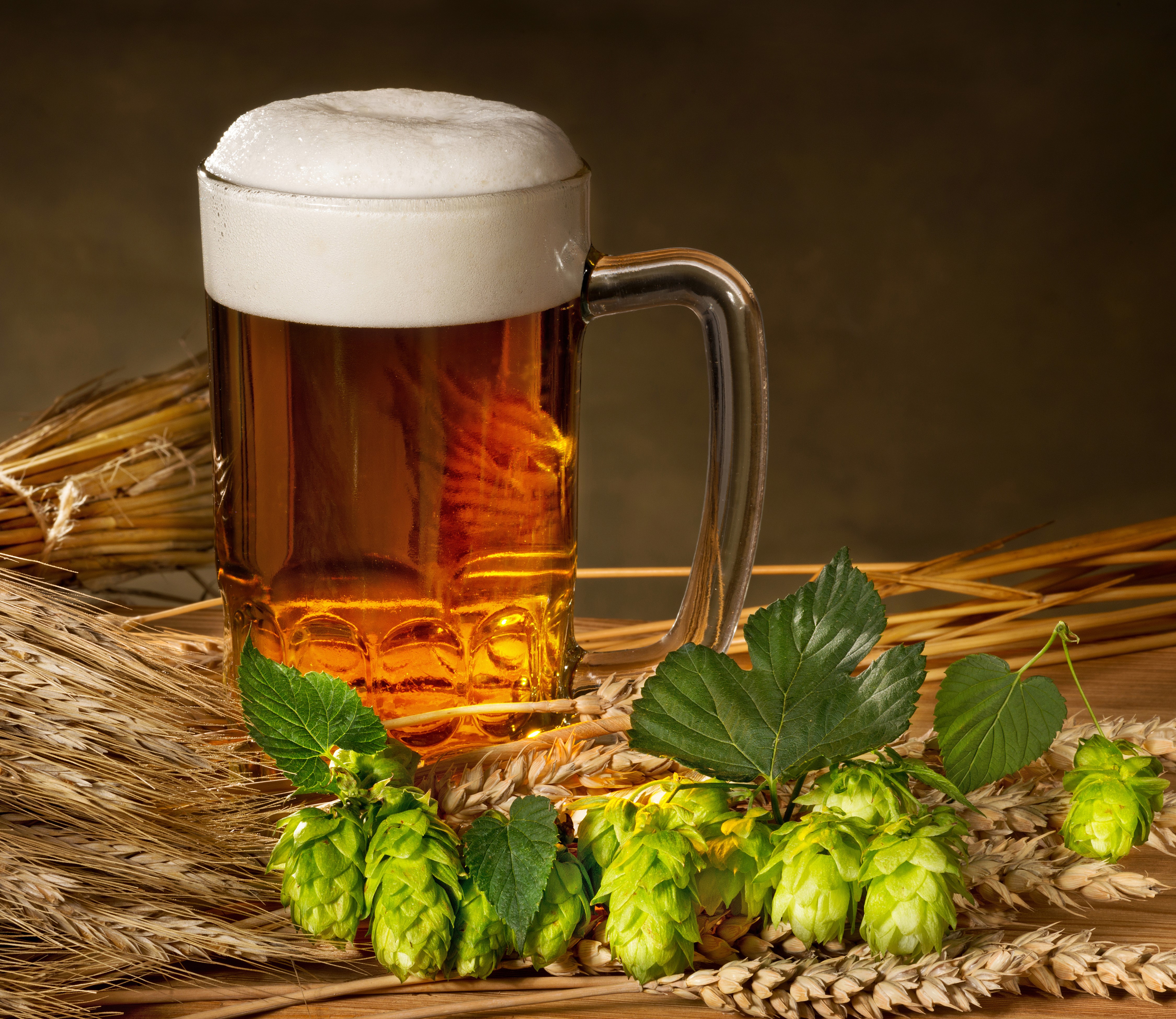 Beer Mug with Hops and Wheat HD Wallpaper