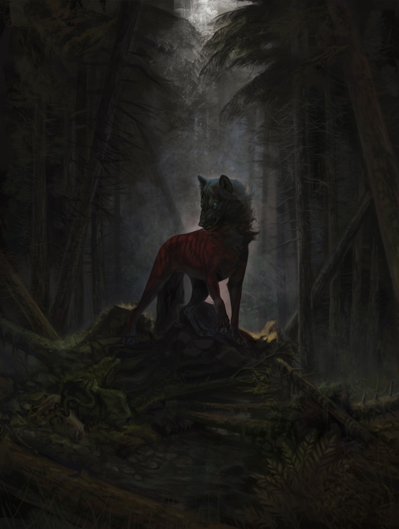 A wolf with red markings in a dark forest HD Phone Wallpaper